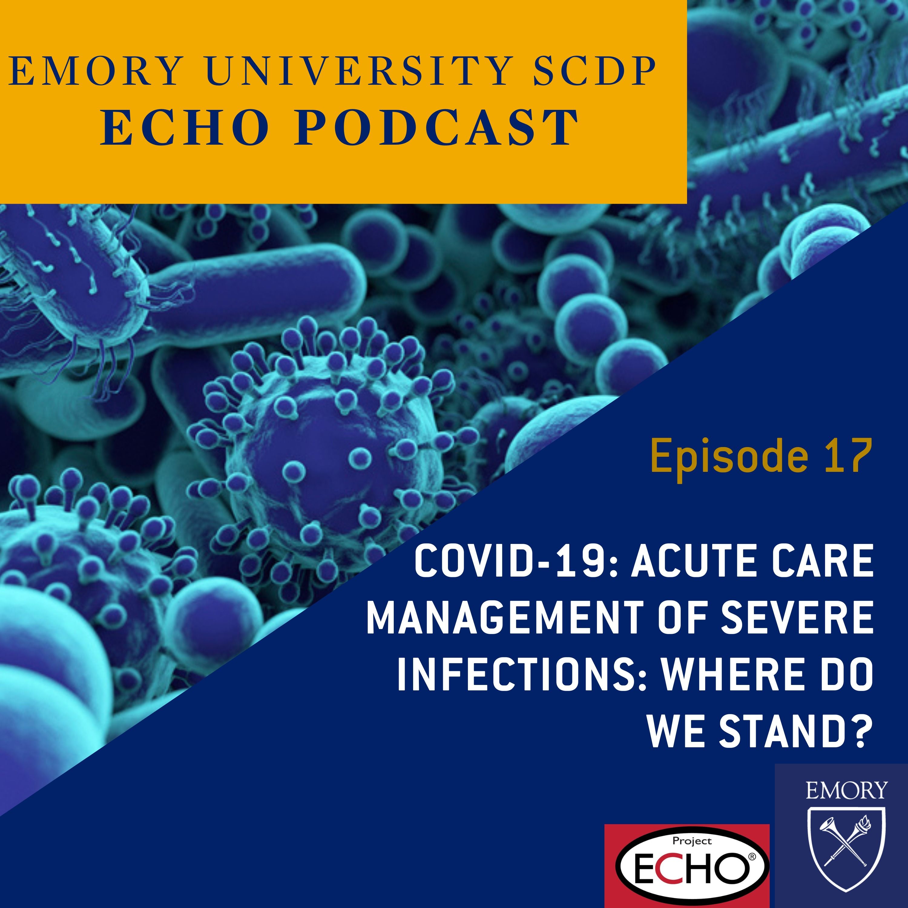 COVID-19 Acute Care Management of Severe Infections: Where Do We Stand?