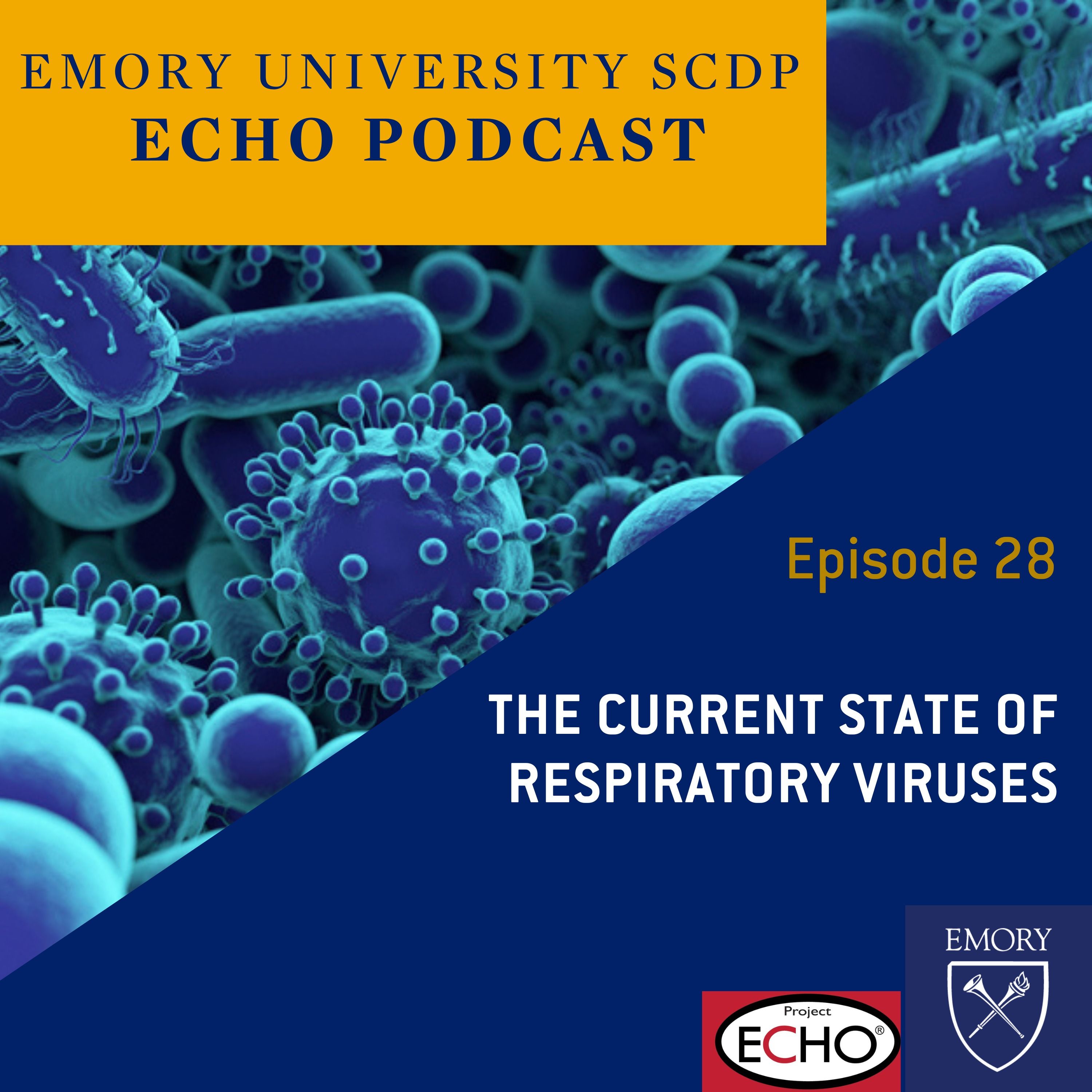 The Current State of Respiratory Viruses