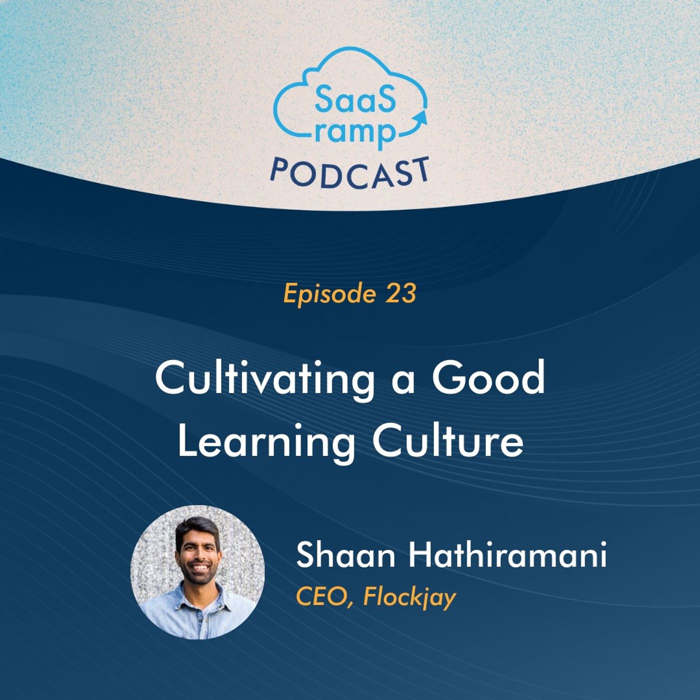 23: Cultivating a Good Learning Culture with Shaan Hathiramani