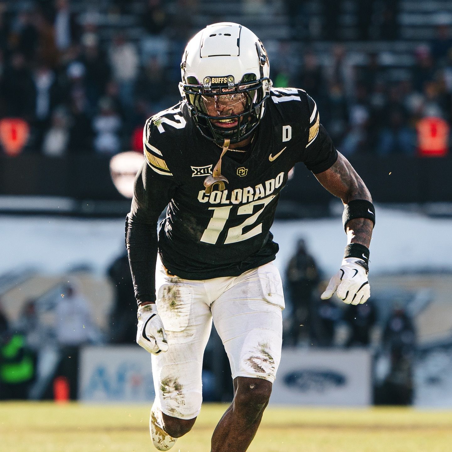 Heisman finalists named,  portal madness begins, and prep for the 2024 Alamo Bowl upcoming (Analysis) episode artwork