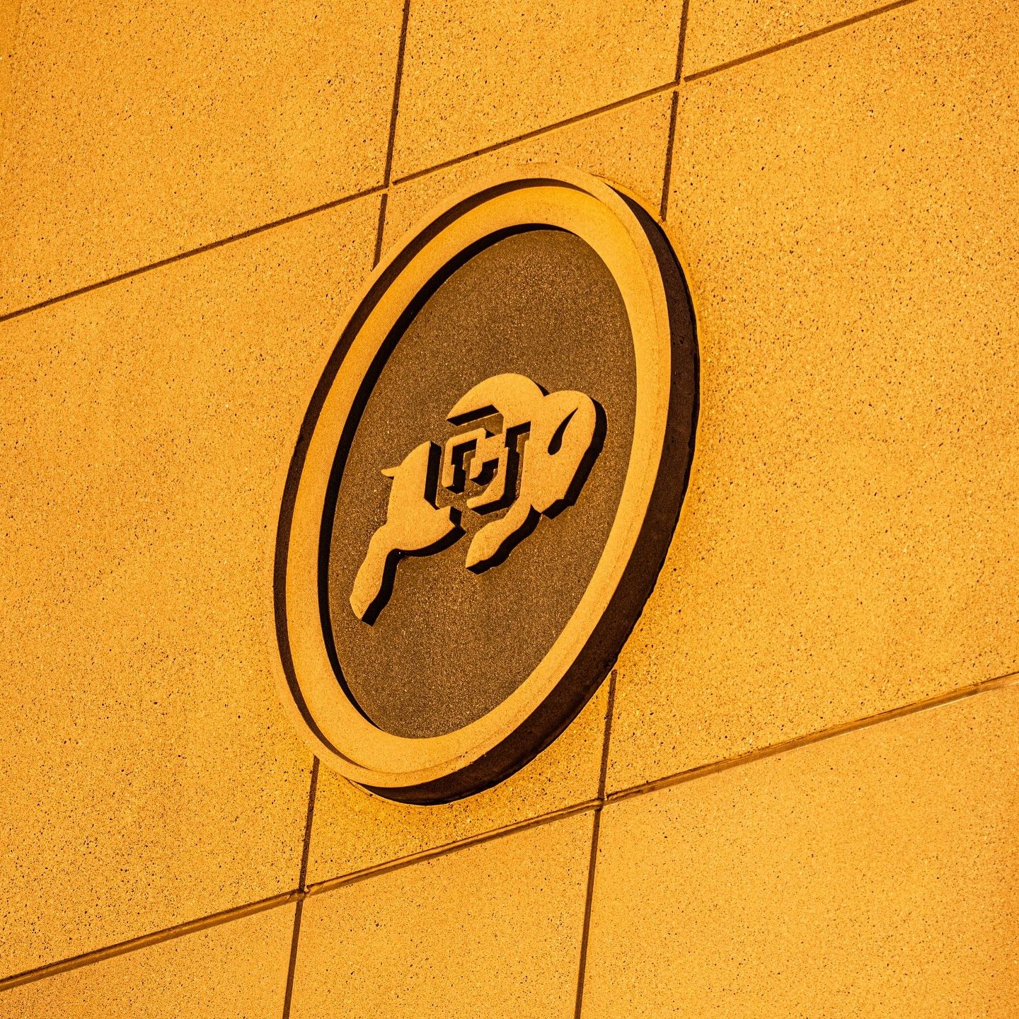 Buff 'Em Updates with Adam and Chico: Spring ball kicks off this week in Boulder episode artwork