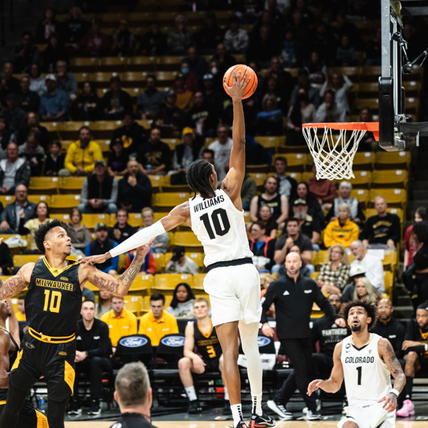 Cody Williams, KJ Simpson & Tad Boyle on Colorado’s 106-79 win over Milwaukee episode artwork