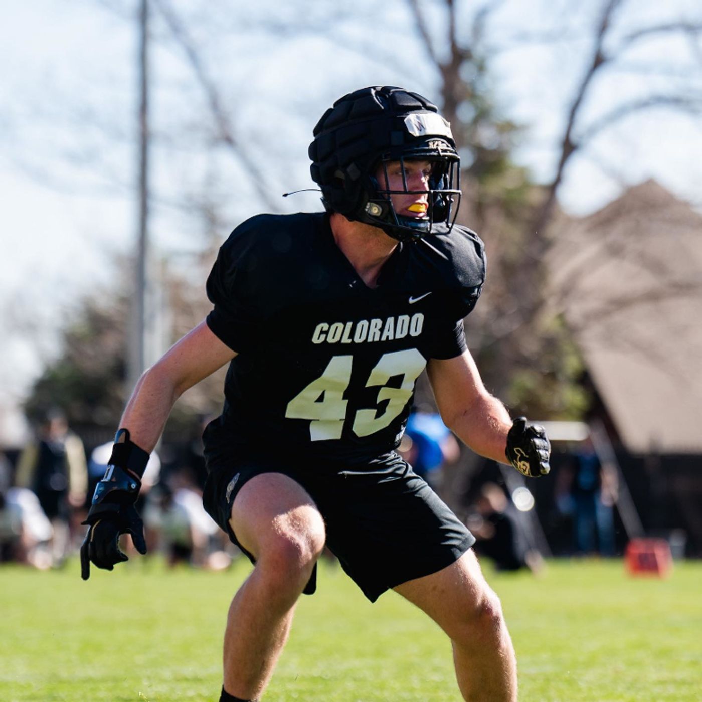 BuffStampede Radio: 2023 Top 40 Buffs Countdown (No. 30-21) episode artwork