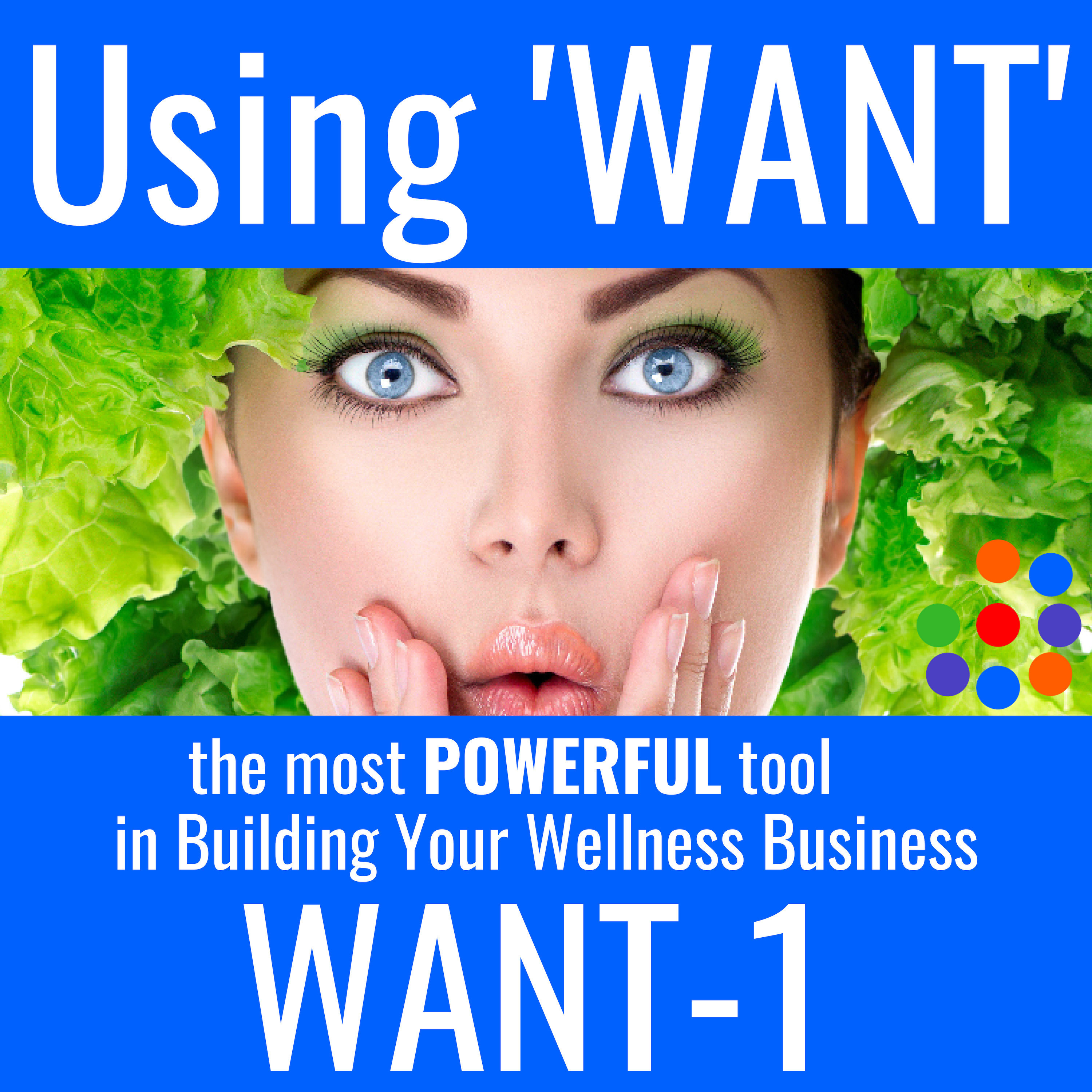 IWPP B 500 'WANT' The most Powerful tool when beginning to build your wellness business