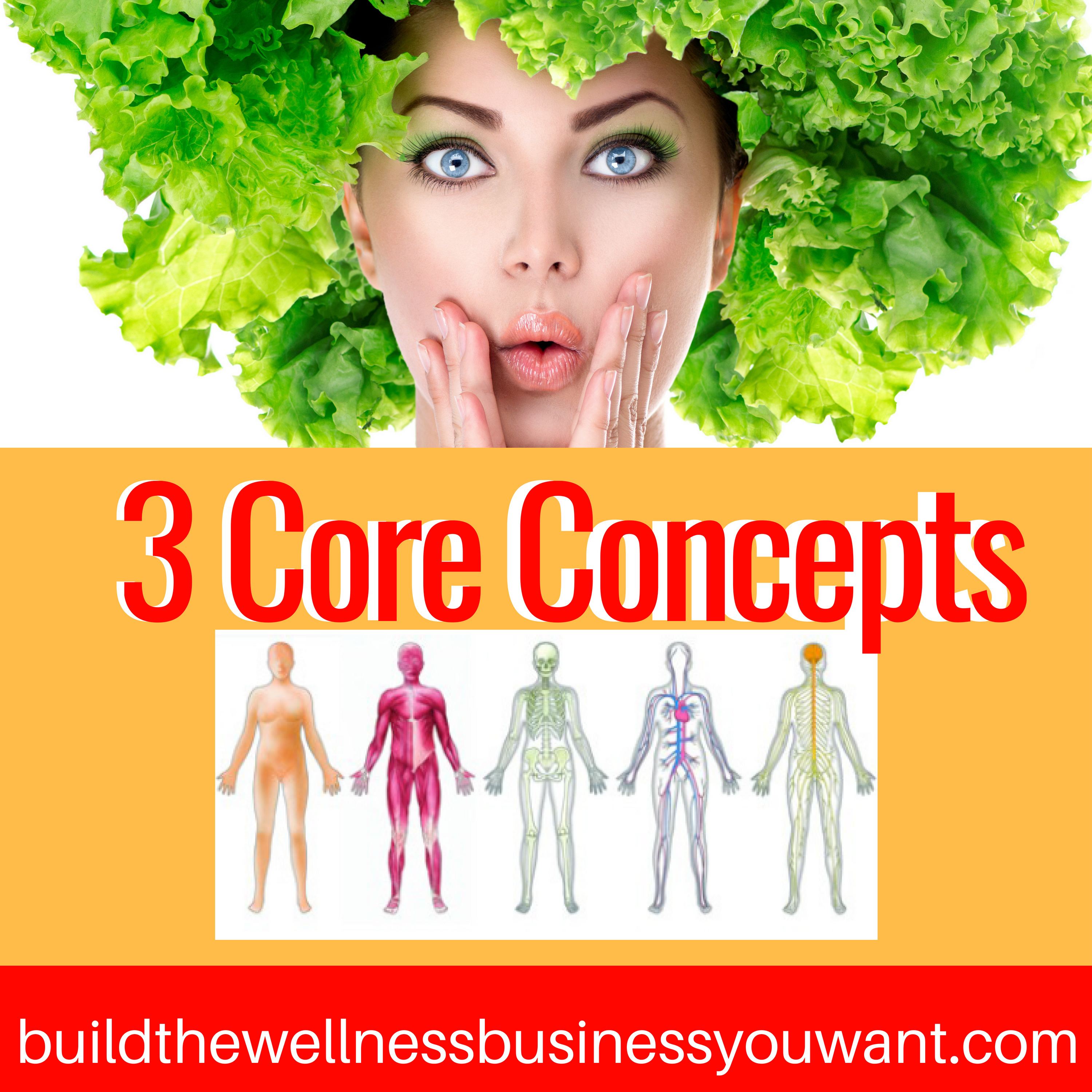 IWPP C-100 The First of the 3 Core Concepts and How Sharing Them With Clients Is Key in Building The Wellness Business You Want