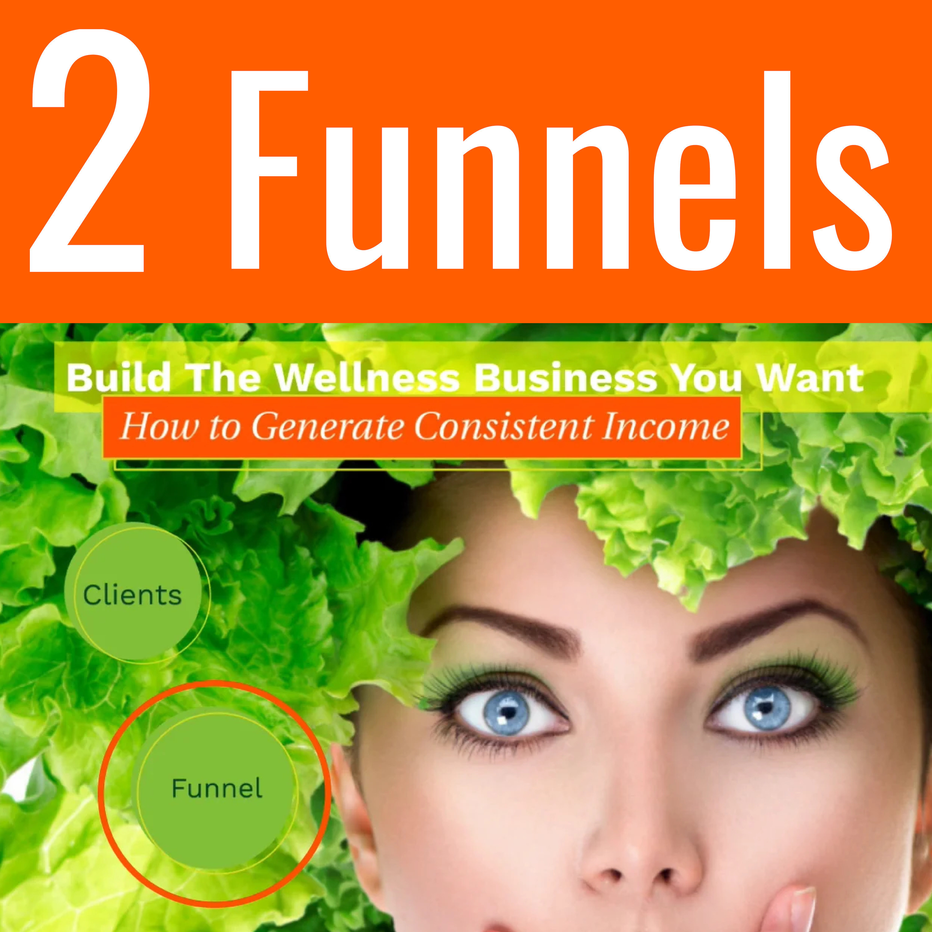 IWPP G 102 Funnels how to know which will bring top-notch clients: How to Generate Consistent Income Series