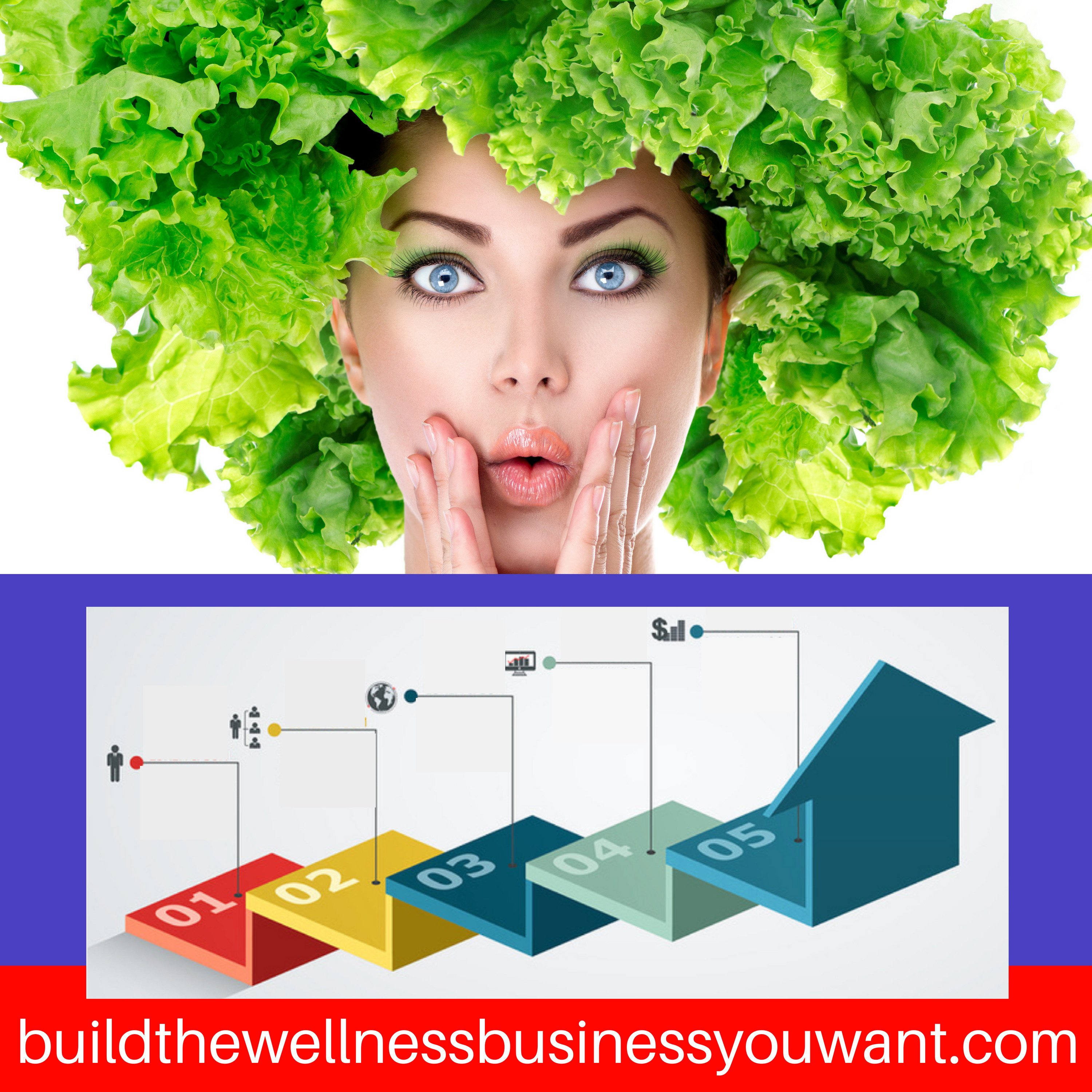IWPP B-505 Build the Wellness Business You WANT 101: Step 3 Connects  3,4 and 5