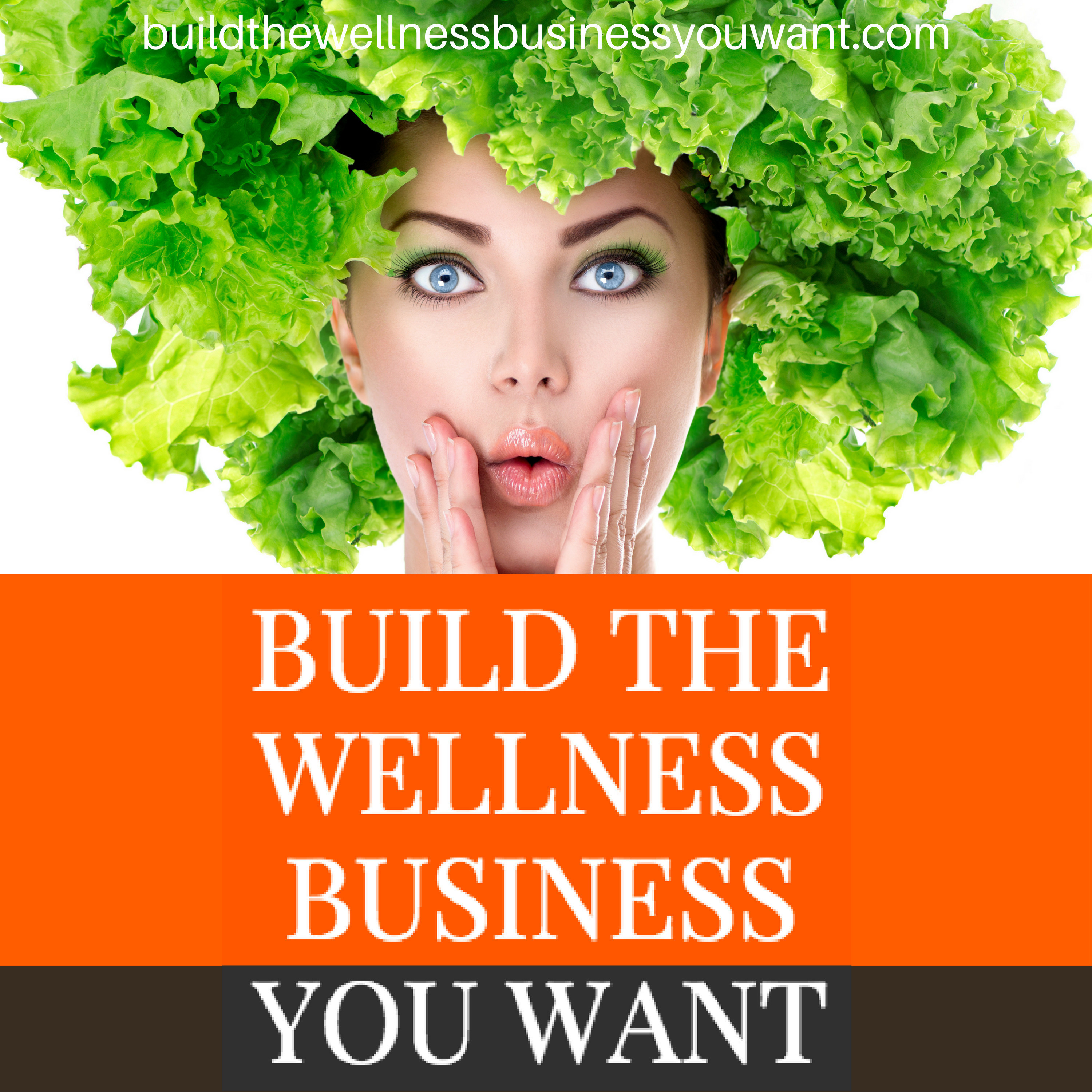 IWPP307 Step By Step Build The Wellness Business You Want NOW BLUEPRINT -