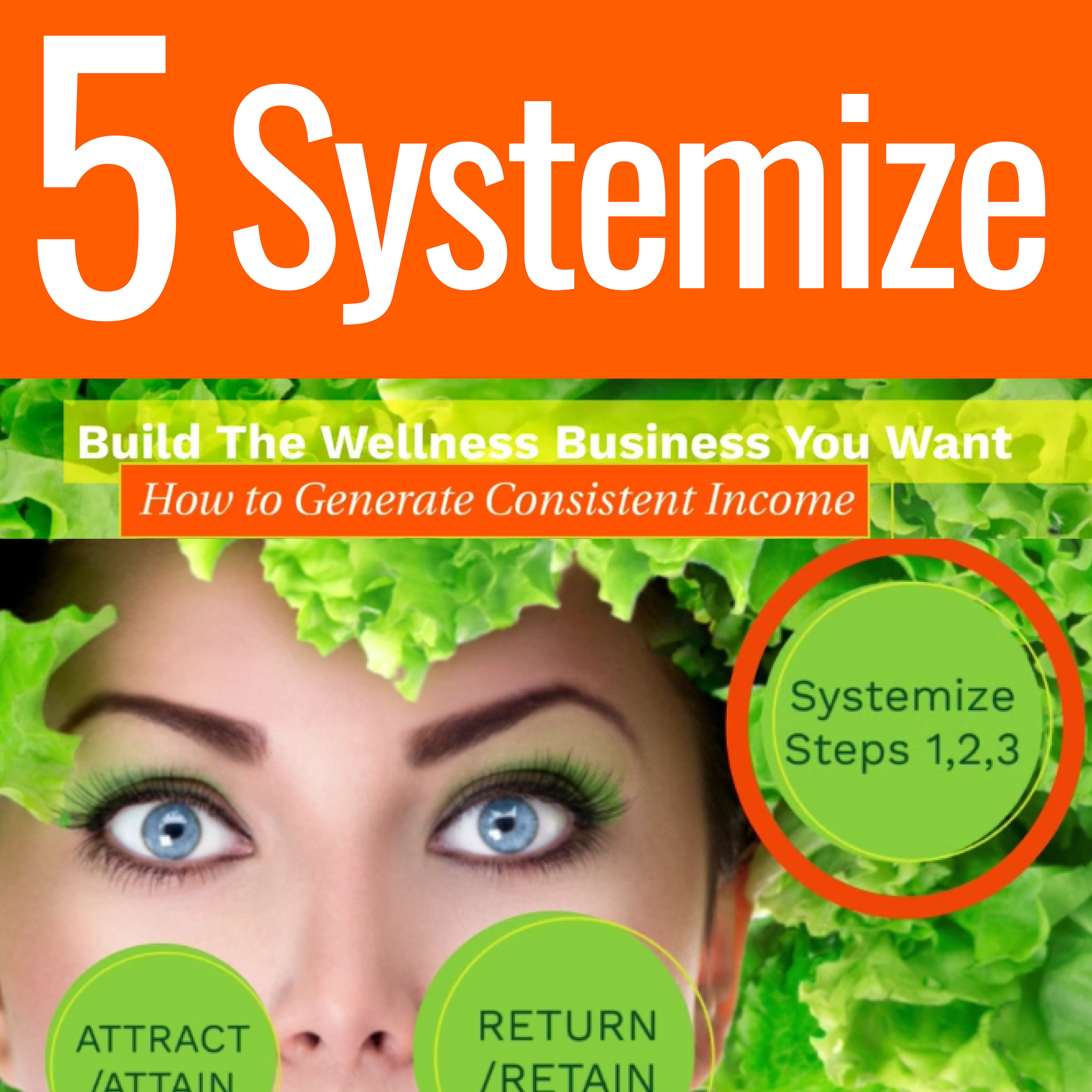 IWPP G 105 How to Generate Consistent Income Series: Systemizing for Expansion
