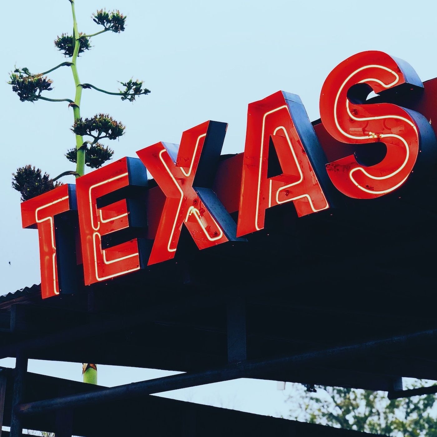 Will Texas Turn Purple THIS Time?