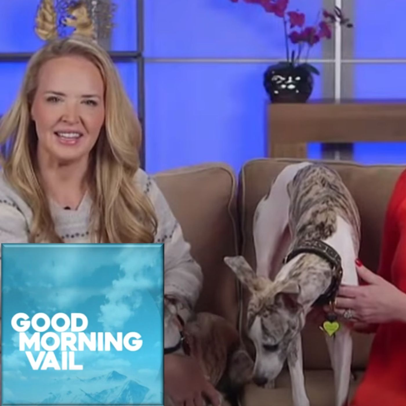 December 28, 2023 December 28, 2023