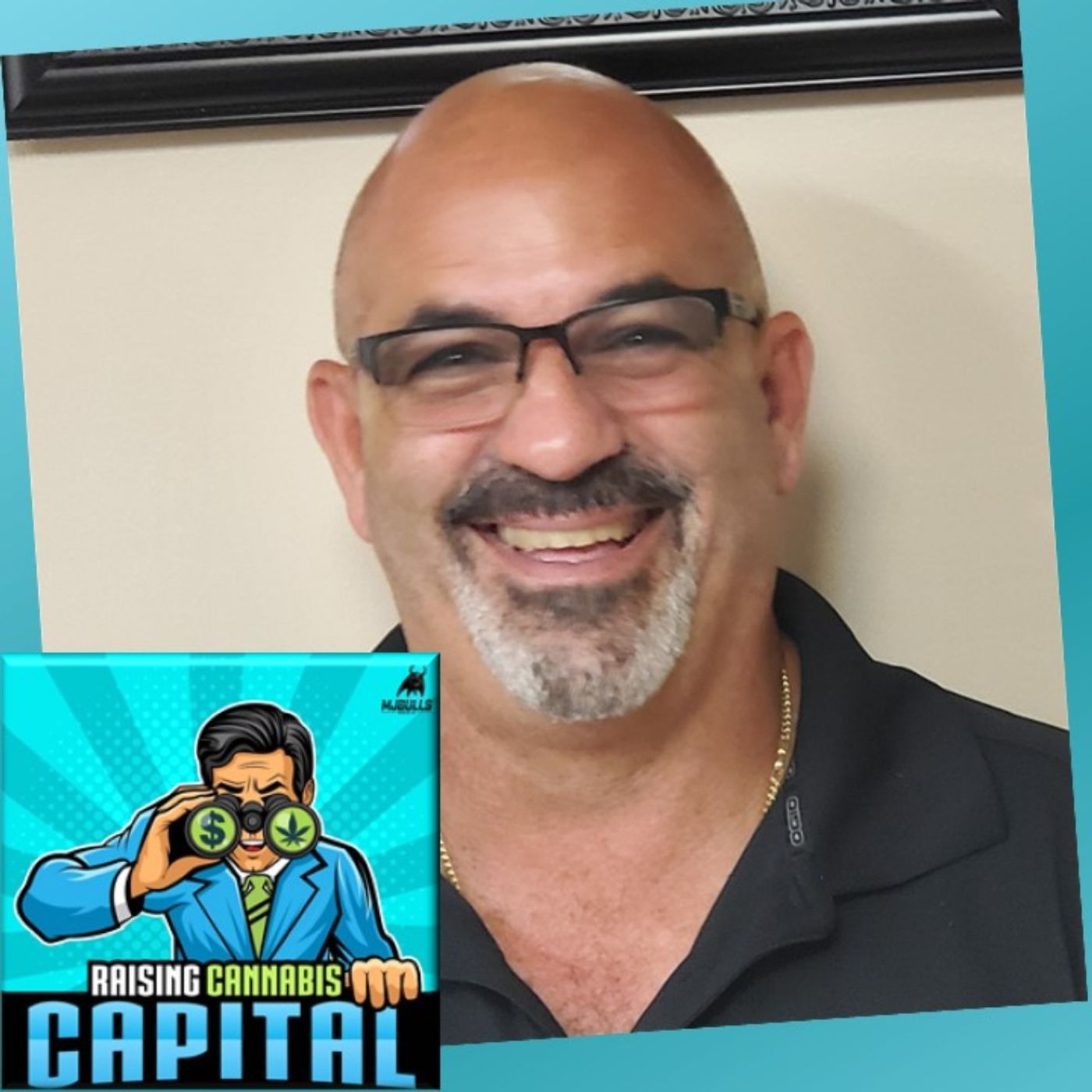 MJBulls: Cannabis investing and cannabis fundraising