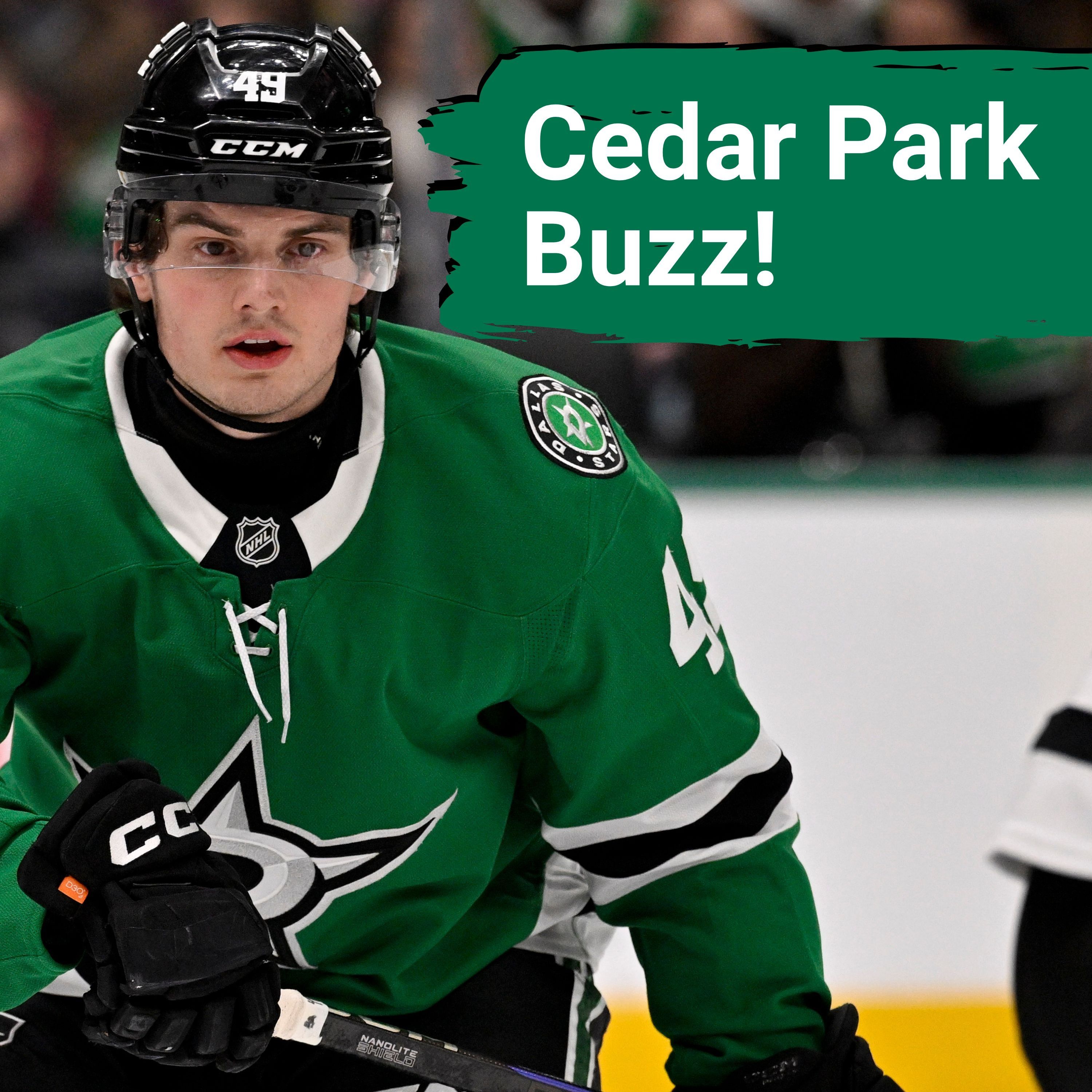 Can Toby Peterson REPLICATE Neil Graham's Success with Texas Stars?