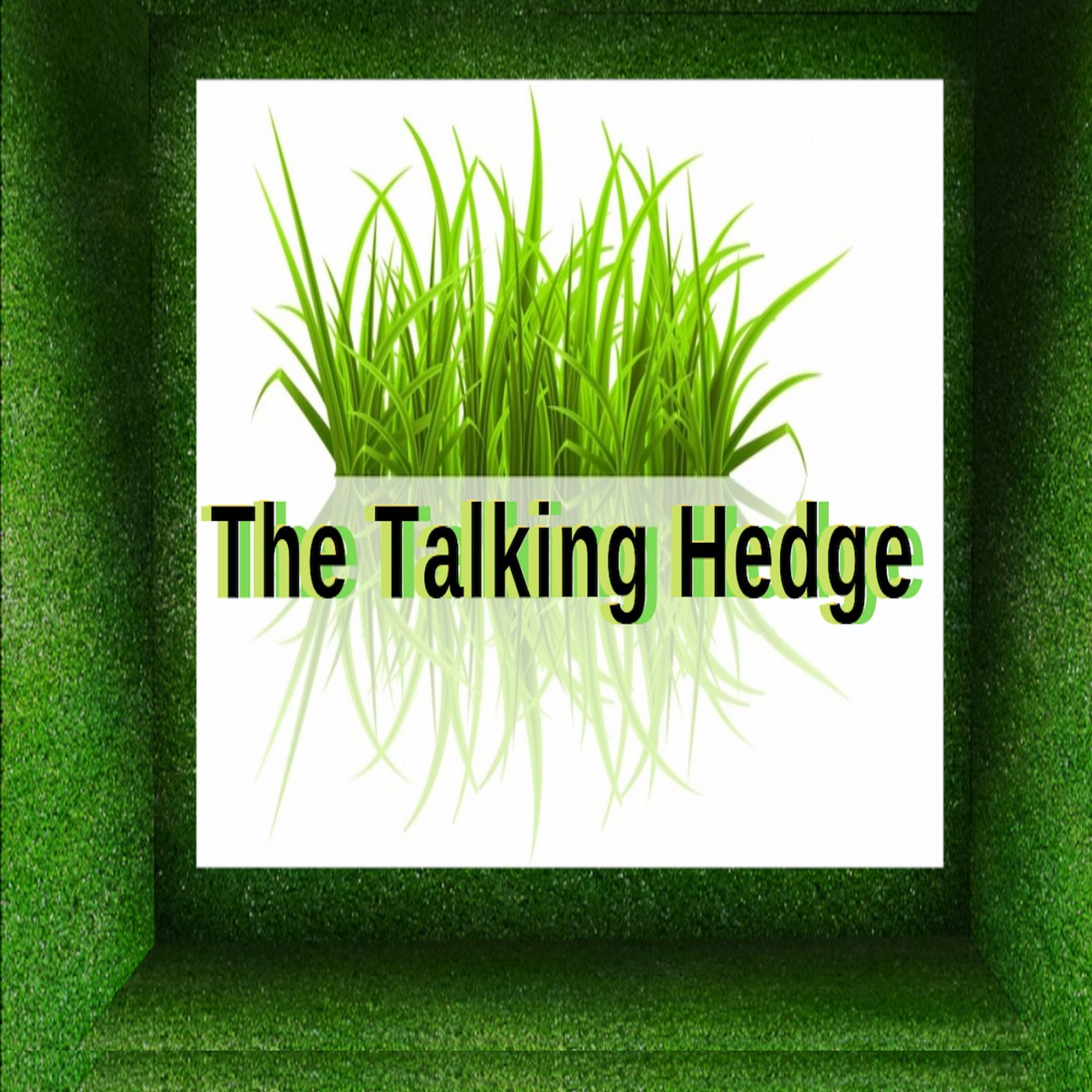 The Talking Hedge