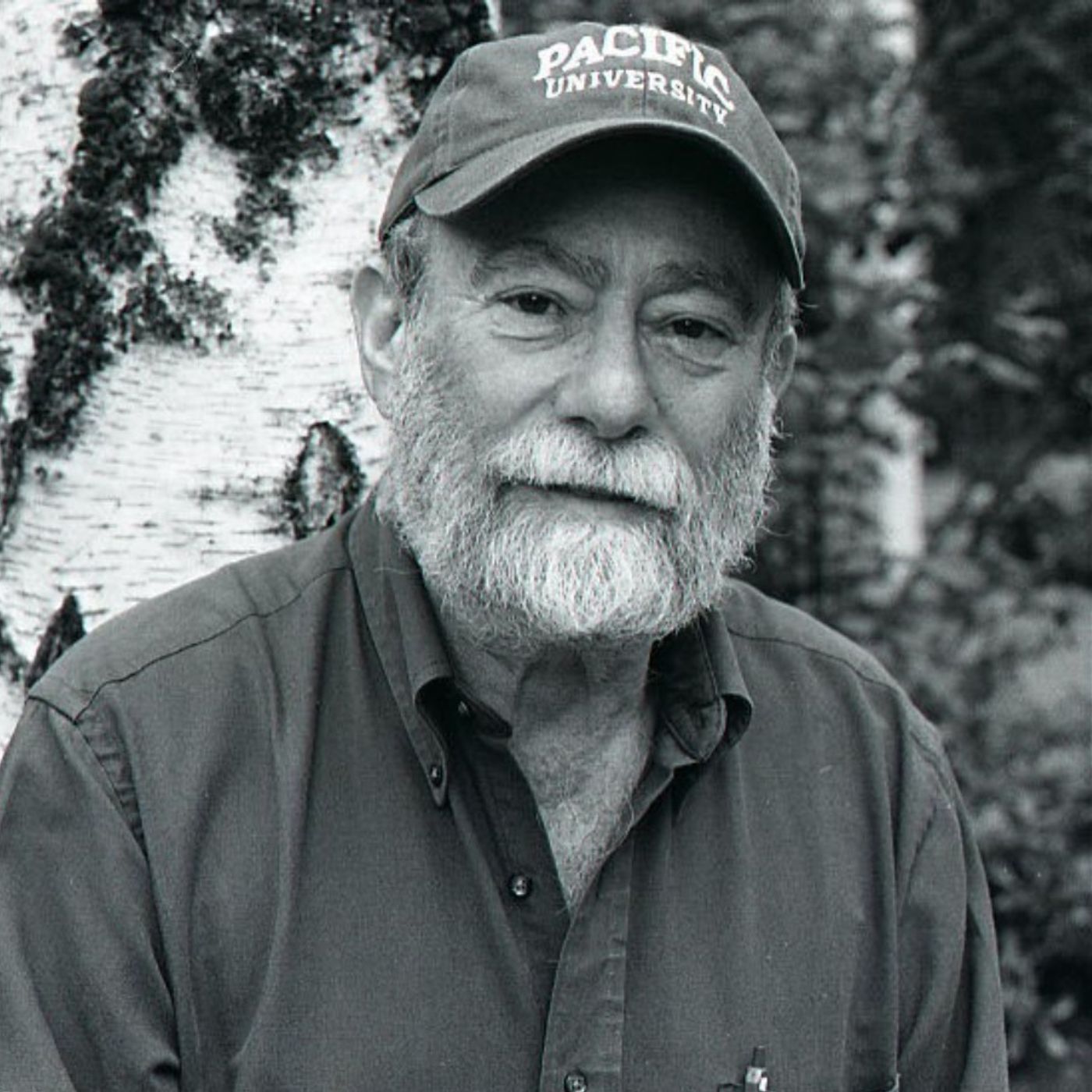 The Air/Light Podcast