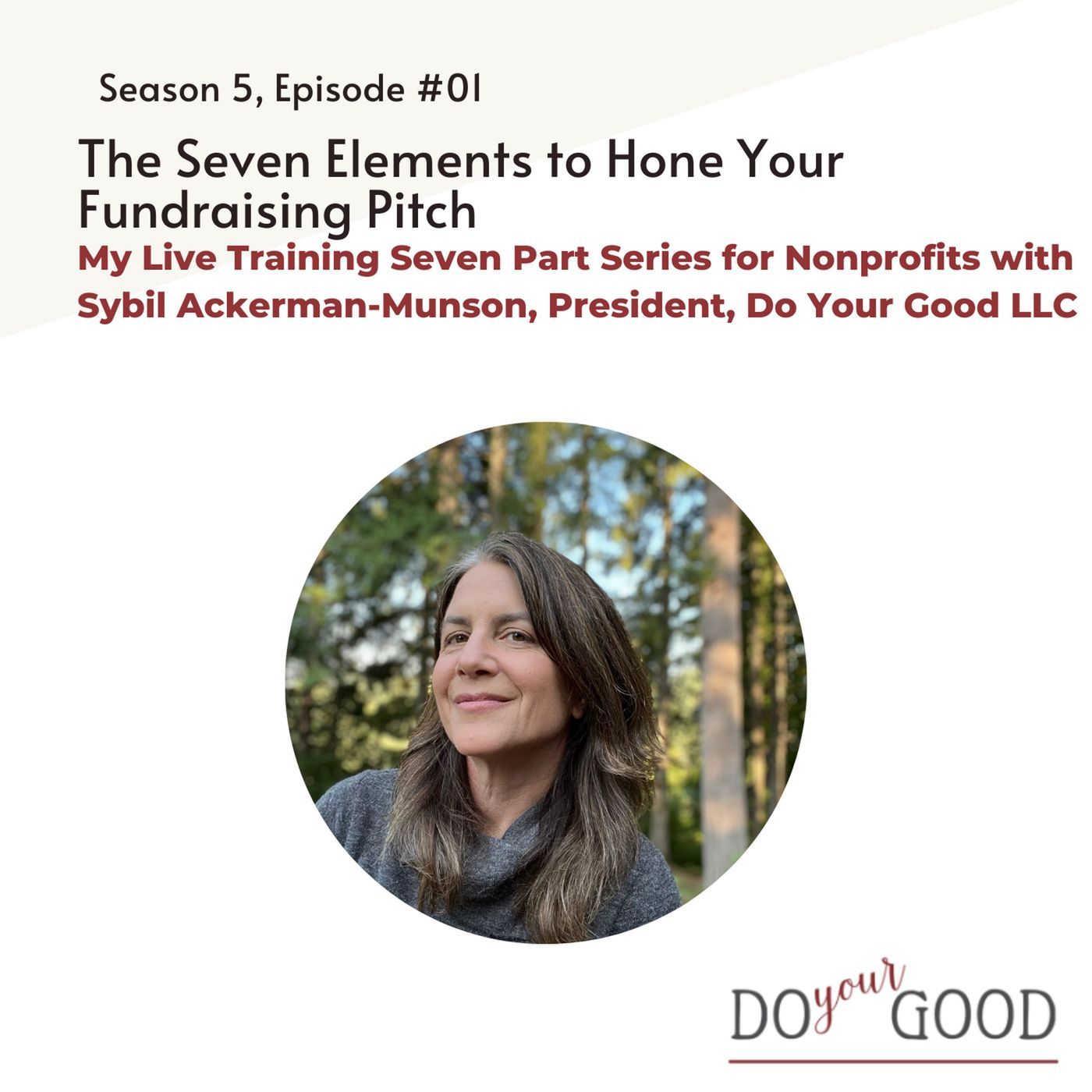 #191 The Seven Elements to Hone Your Fundraising Pitch: My Live Training Seven Part Series for Nonprofits with Sybil Ackerman-Munson, Presid episode artwork