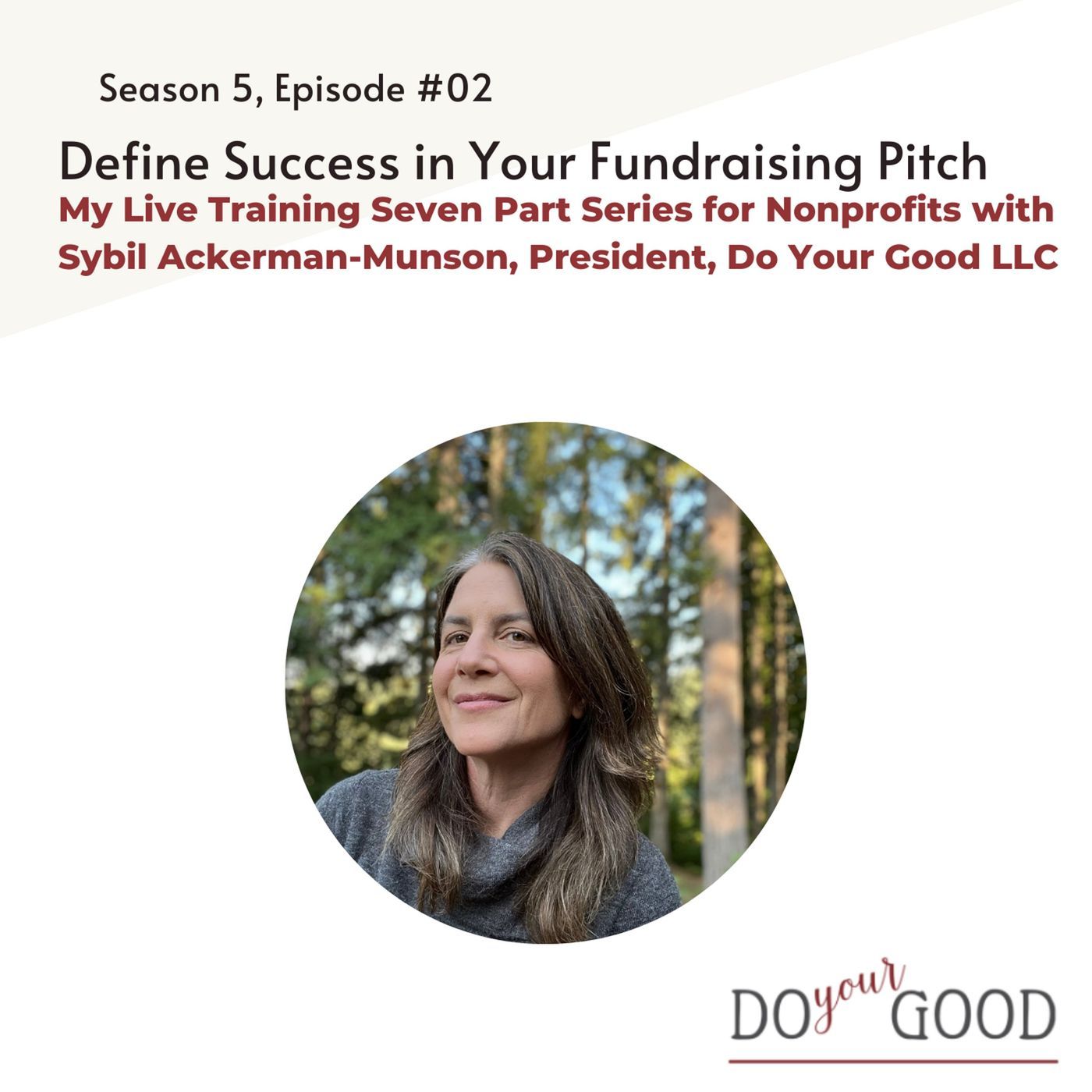 #192 Define Success in Your Fundraising Pitch With Sybil Ackerman-Munson, President of Do Your Good, LLC episode artwork