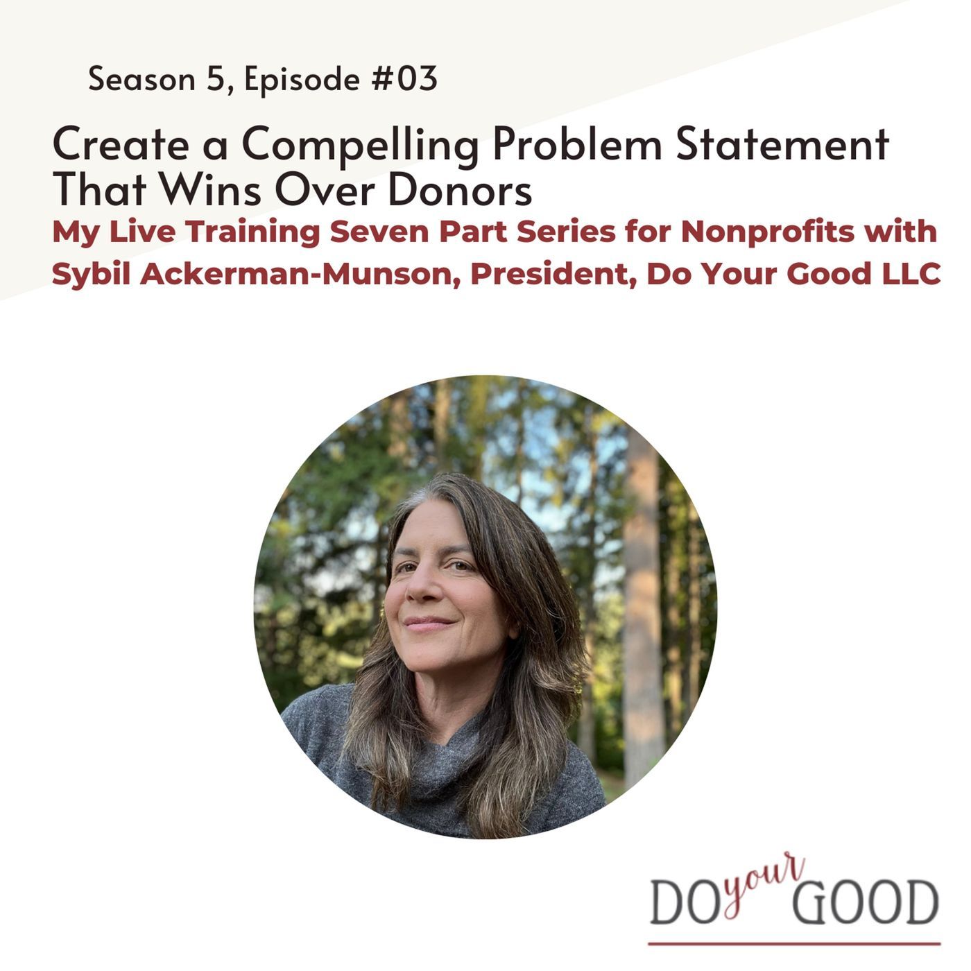 #193 Create a Compelling Problem Statement That Wins Over Donors with Sybil Ackerman-Munson, President of Do Your Good, LLC episode artwork