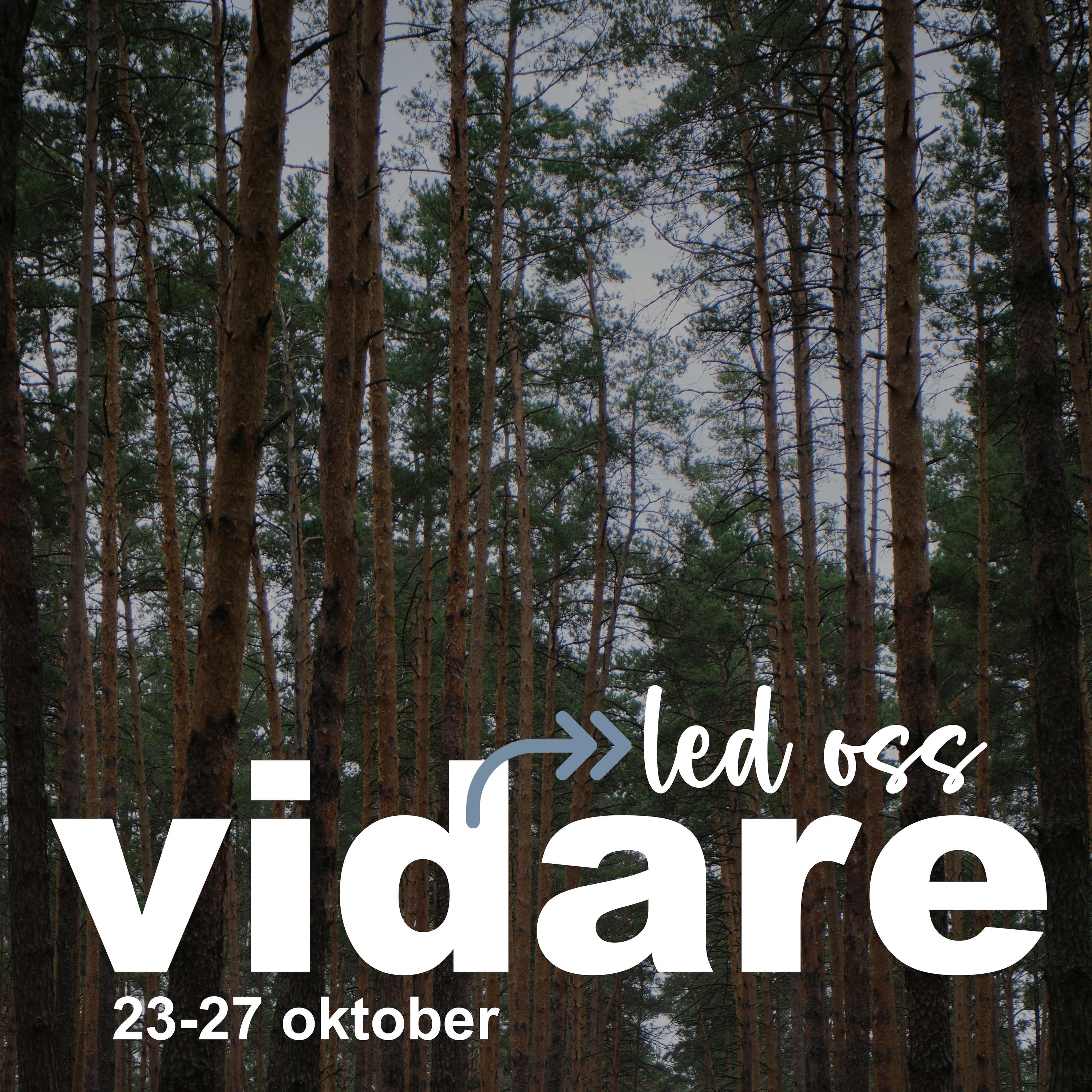Led oss vidare, kvällsgudstjänst – Niklas Piensoho, 241026 episode artwork