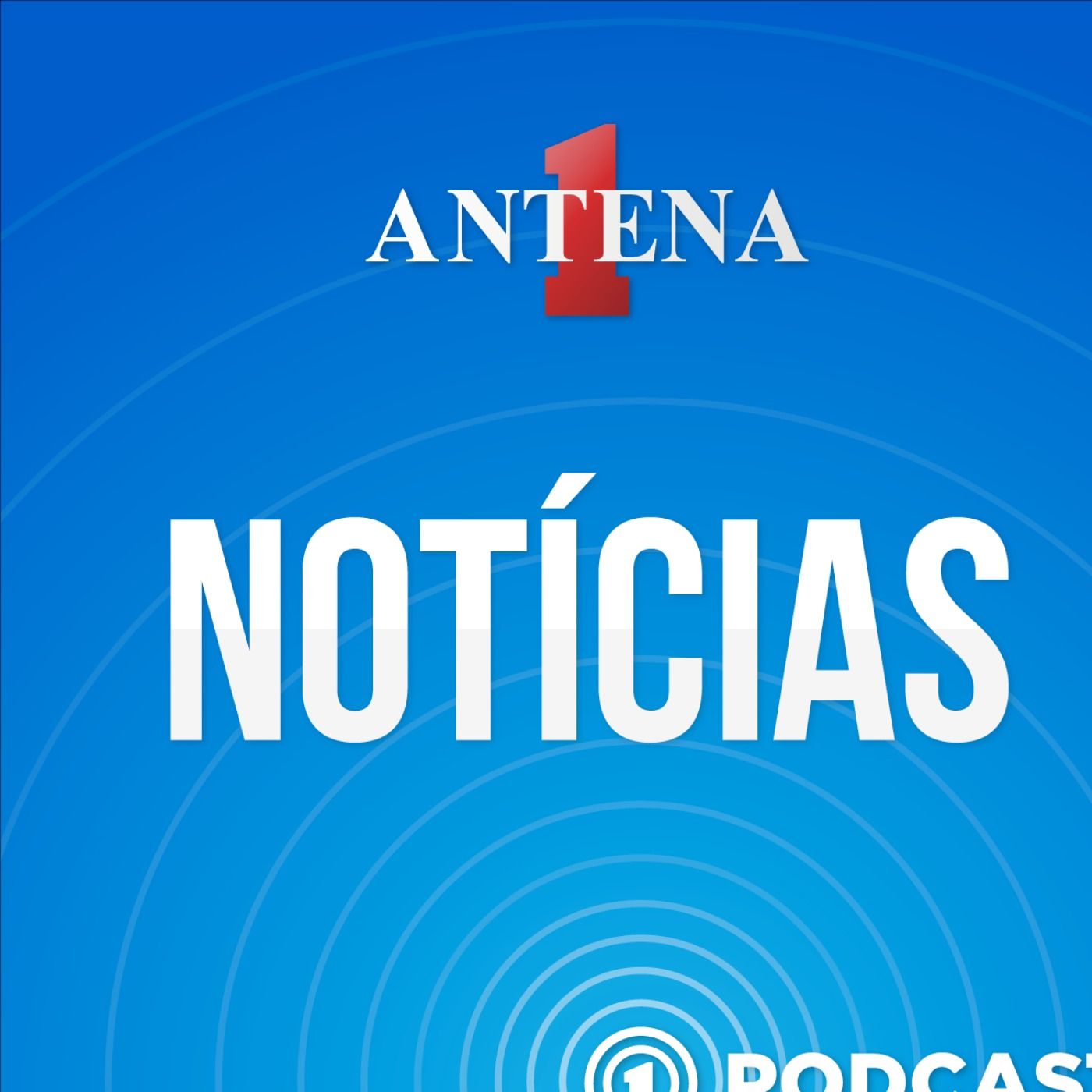 Antena 1 Notícias - 29/08/2024