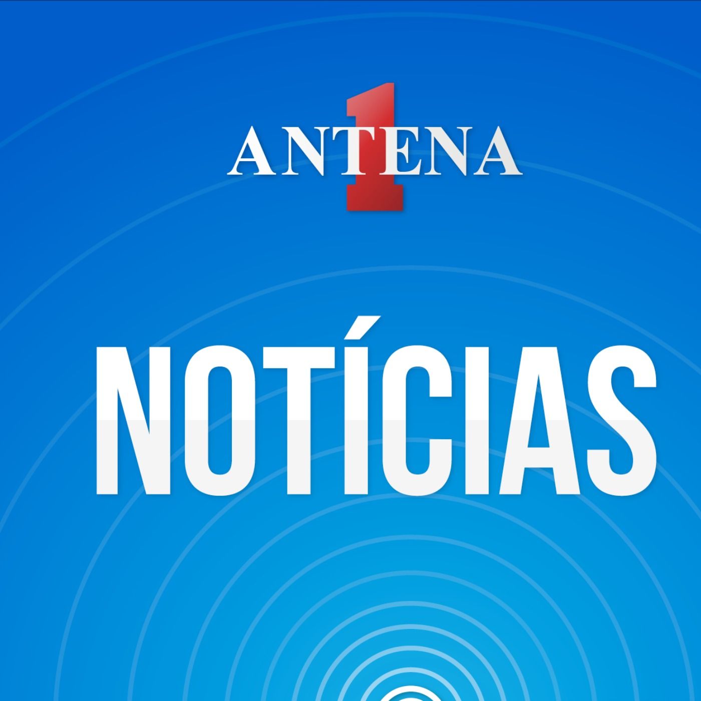 Antena 1 Notícias - 08/10/2024