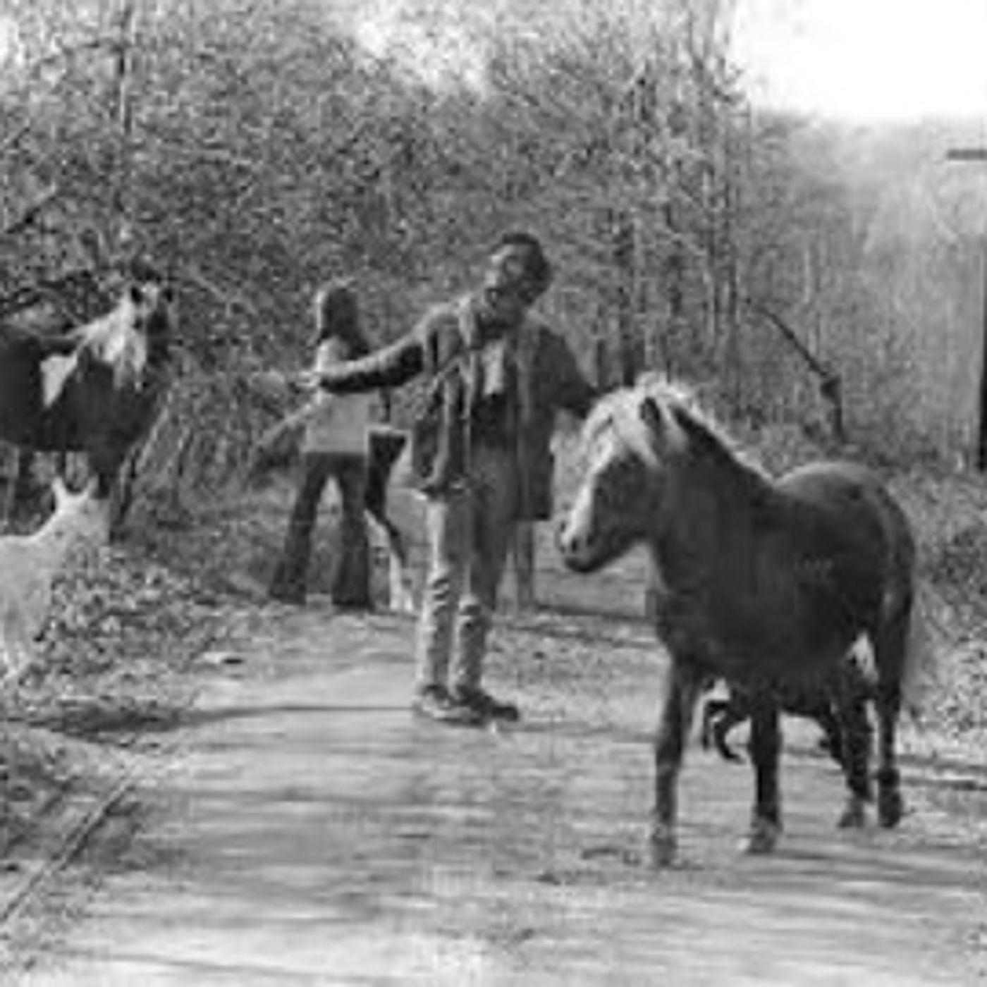 Brattleboro Words Trail Podcast