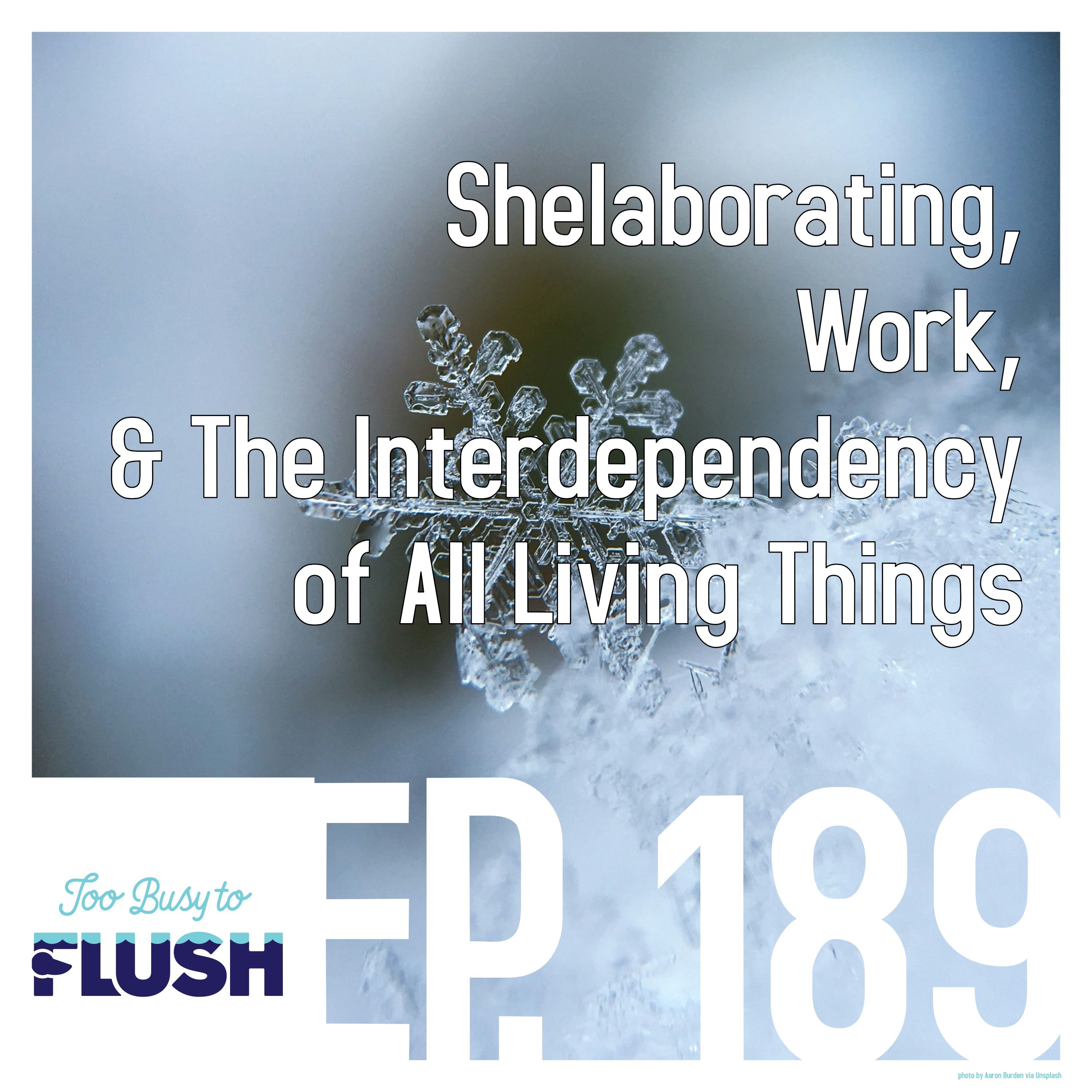Shelaborating, Work, & The Interdependency Of All Living Things