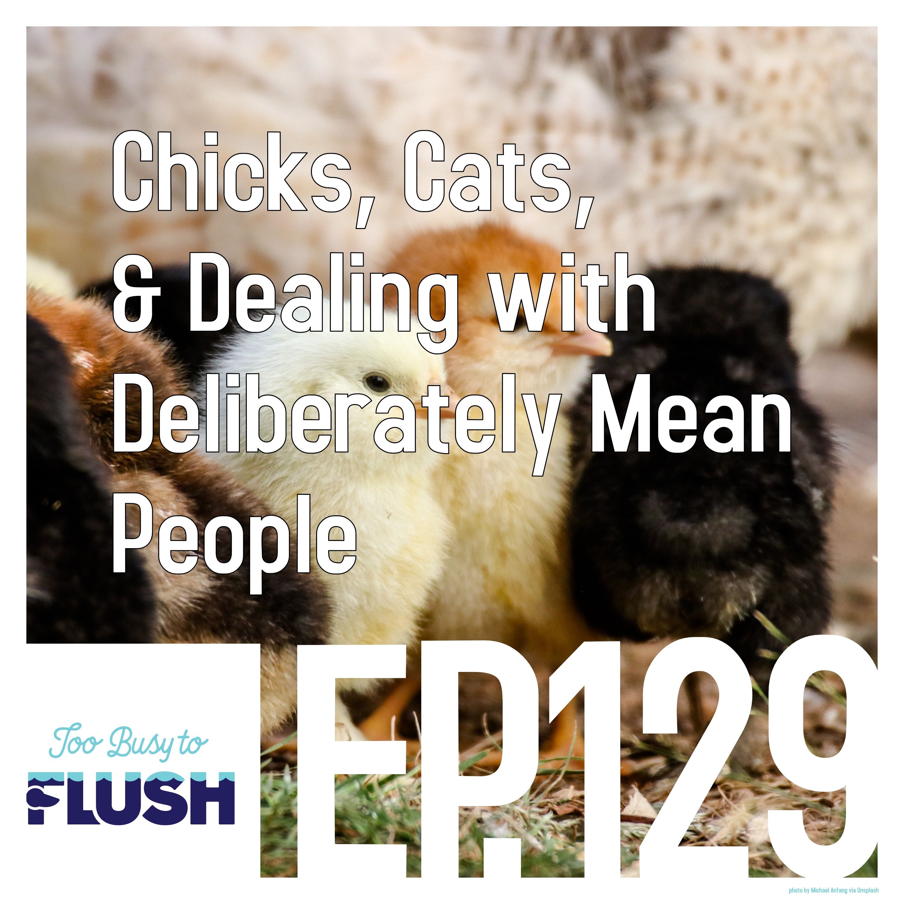 Chickens, Cats, & Dealing with Deliberately Mean People