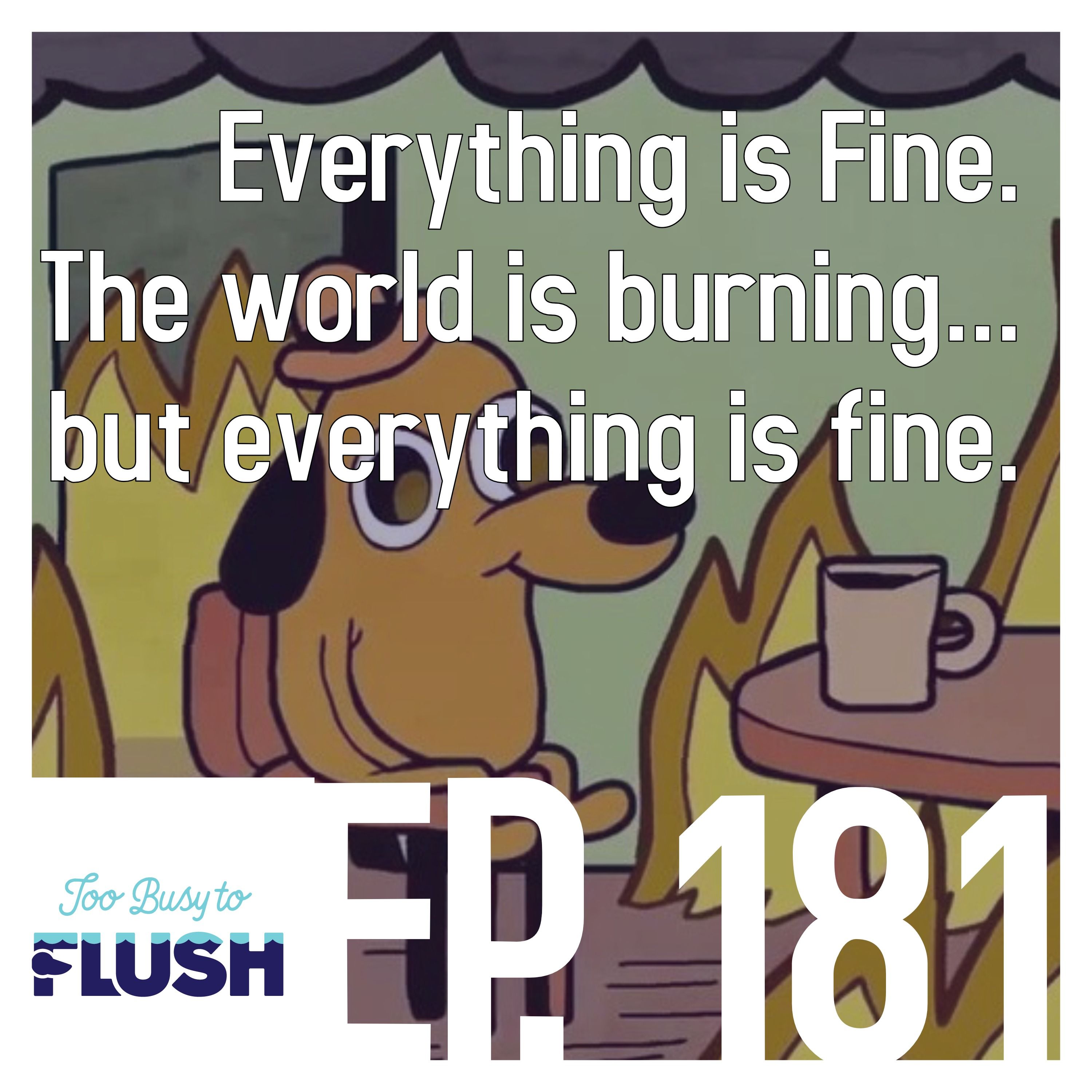 Everything is Fine. The World is Burning but...Everything is Fine.