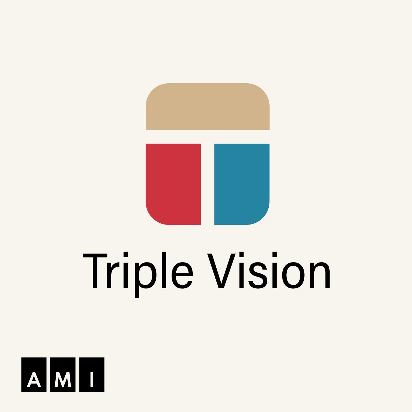 The Danger of a Single Story — Triple Vision cover