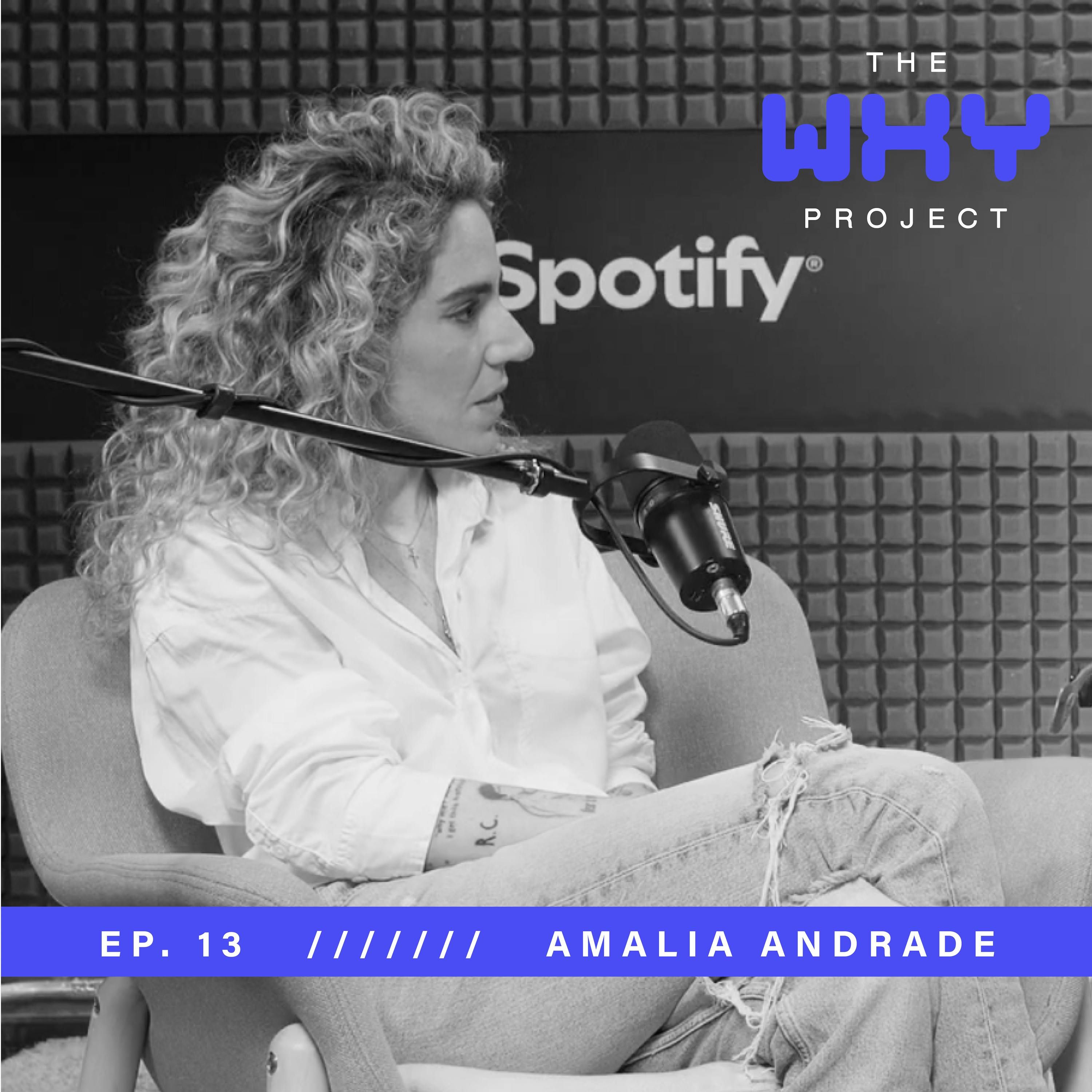 No hay Éxito sin Fracaso - Amalia Andrade.