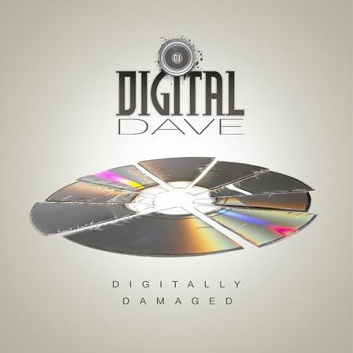 Digitally Damaged (2008)