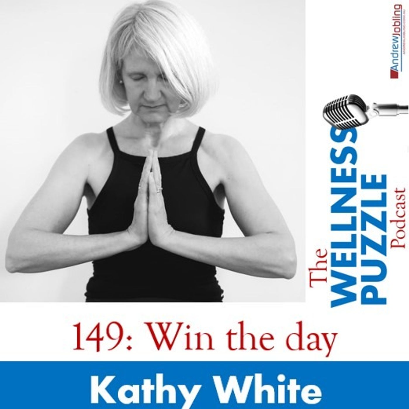 The Wellness Puzzle Podcast