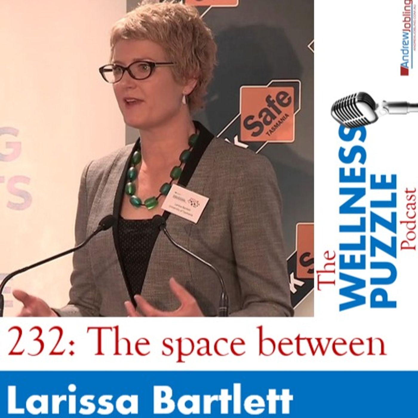 The Wellness Puzzle Podcast