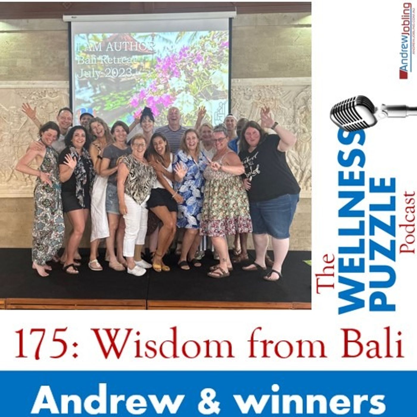 The Wellness Puzzle Podcast