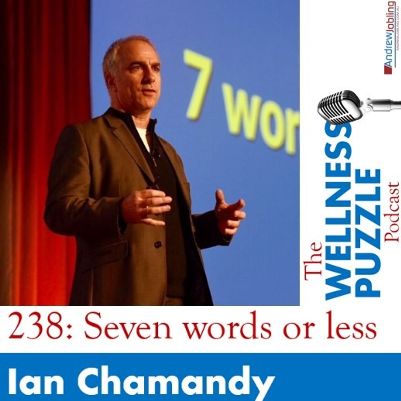 The Wellness Puzzle Podcast