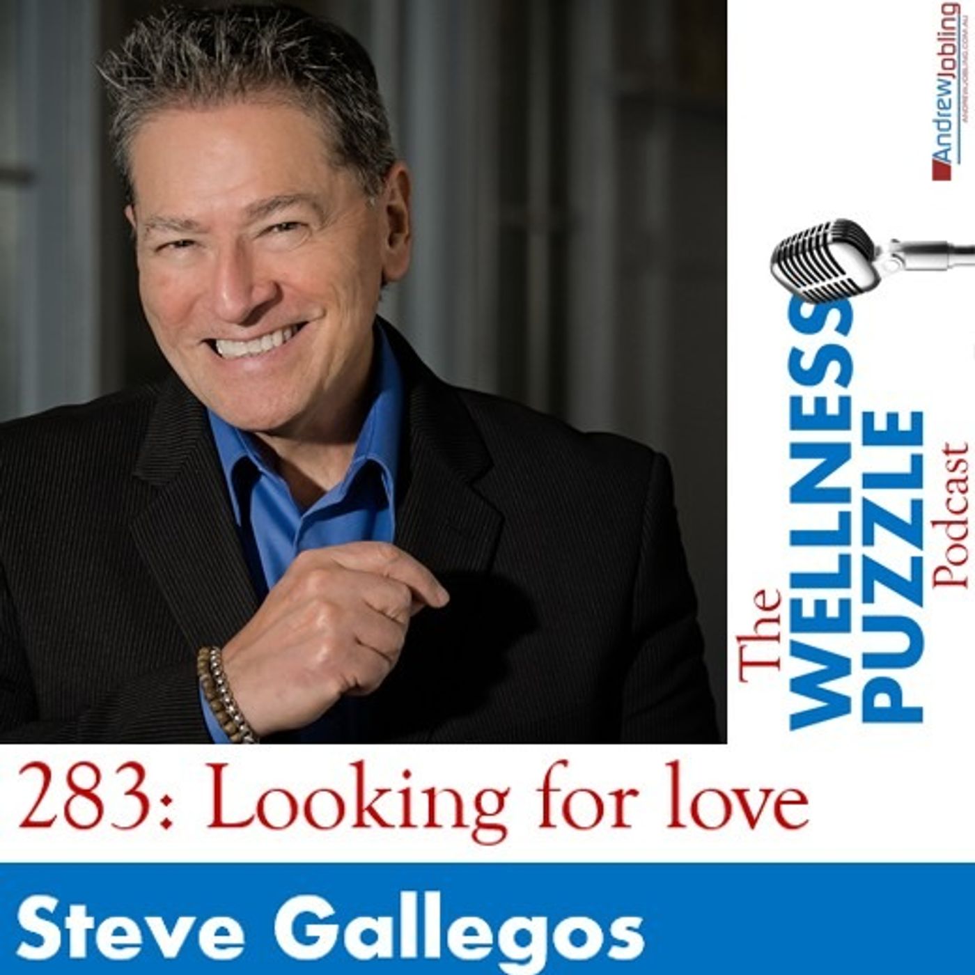 The Wellness Puzzle Podcast