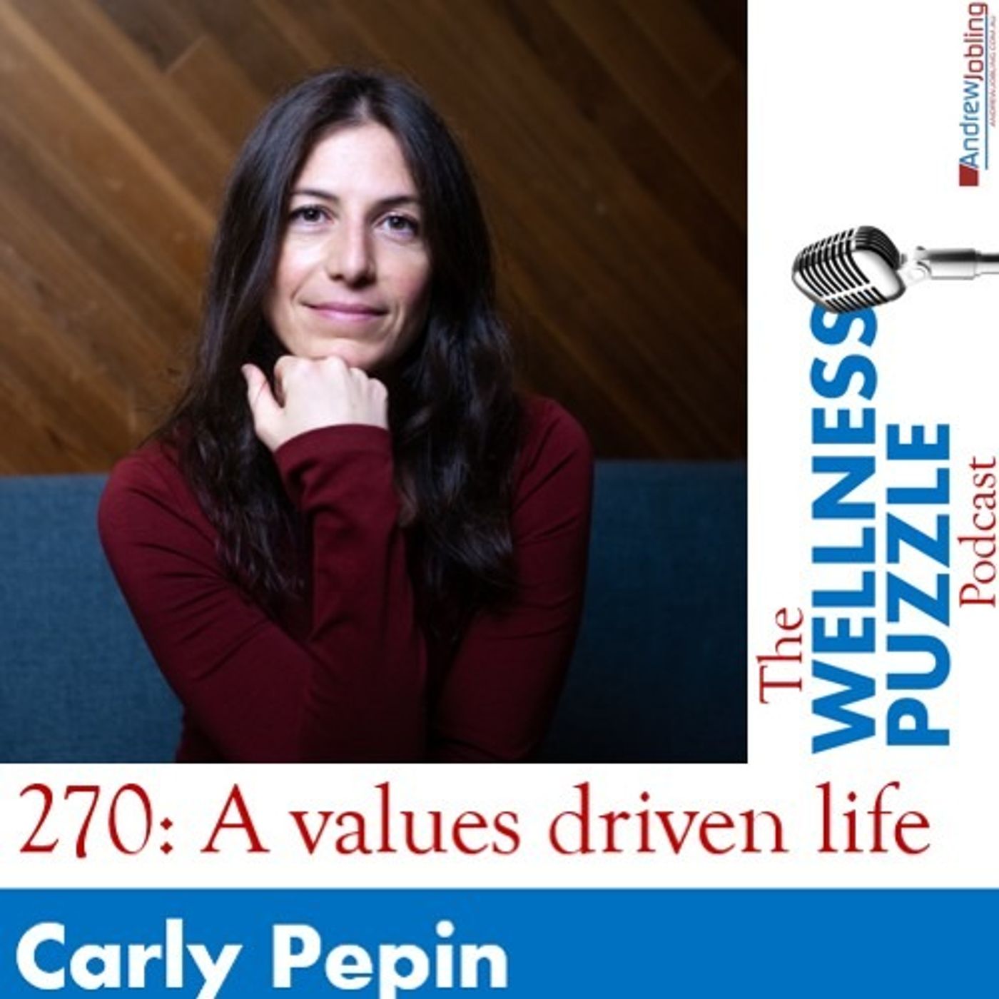 The Wellness Puzzle Podcast