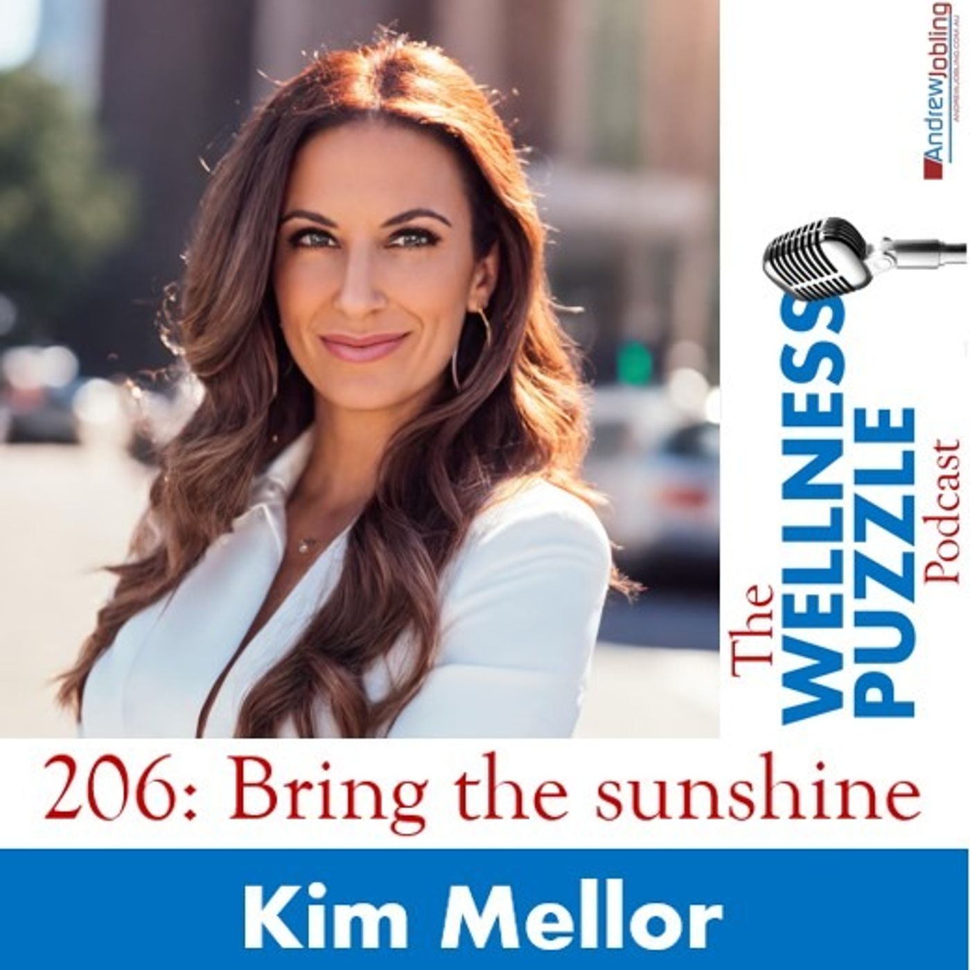 The Wellness Puzzle Podcast