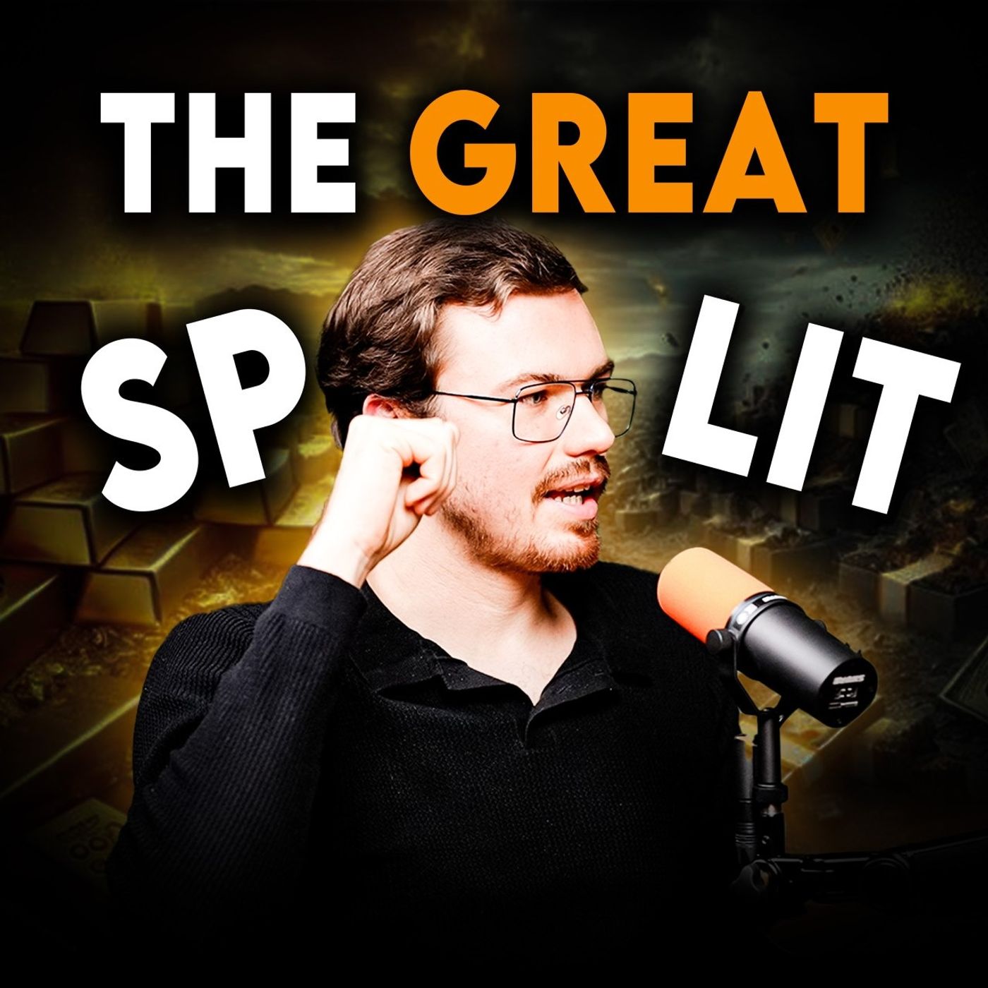 The Great Split: Why the Financial System Is Breaking Apart w/ Robin Seyr