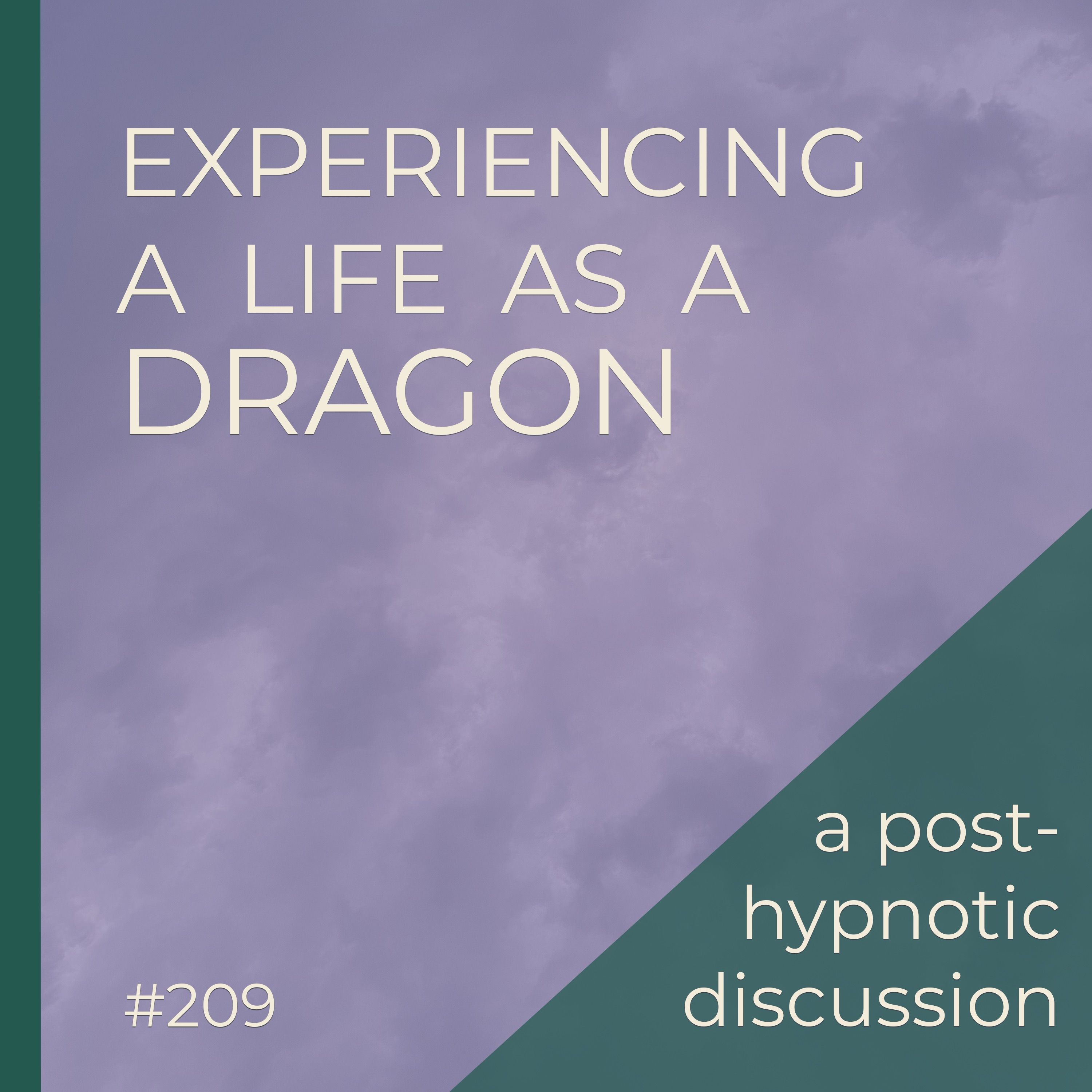 Life As A Dragon  |  Post-Hypnotic Group Discussion  |  Seer Sessions #209