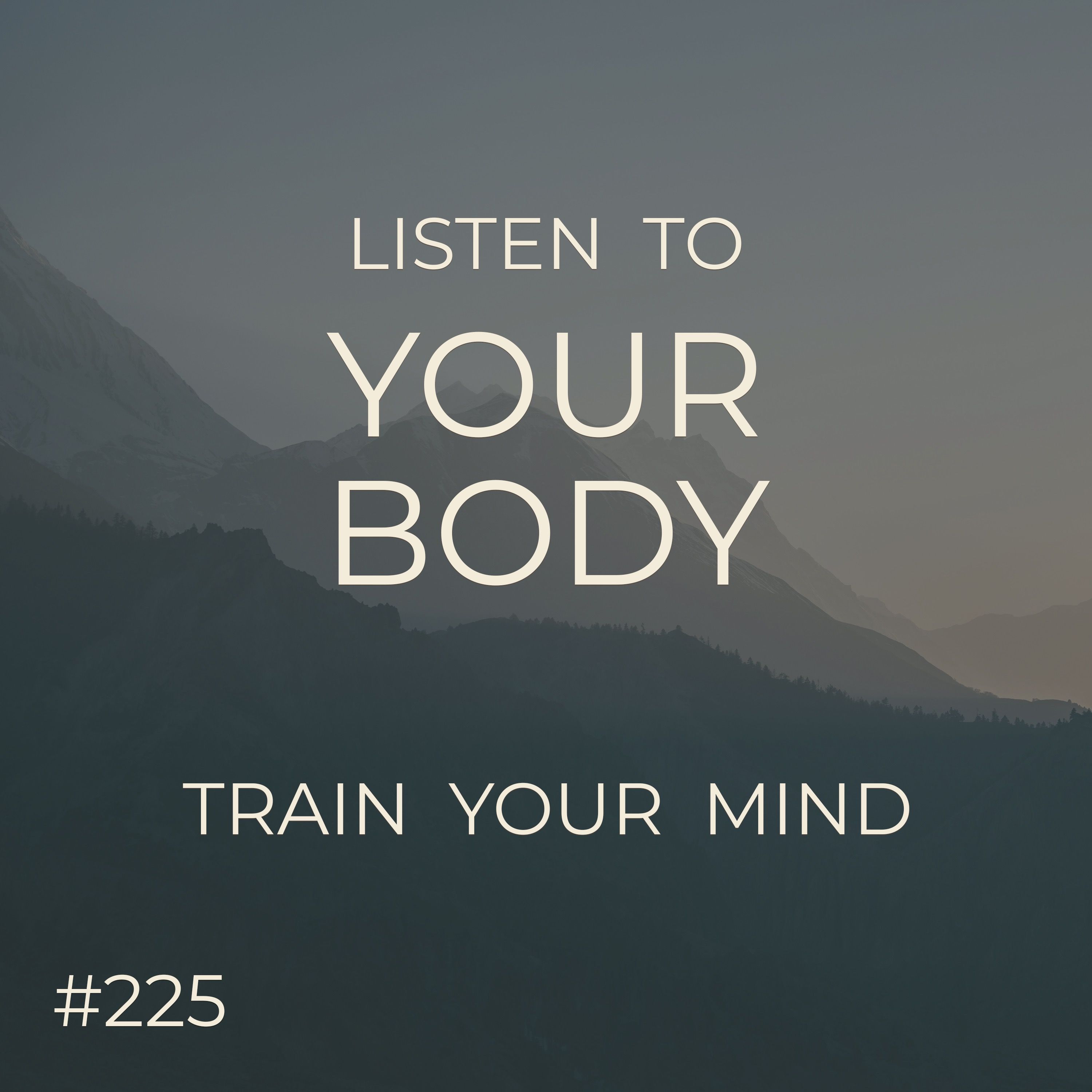Listening To Your Body  |  Preview For The Theme  |  Seer Sessions #225