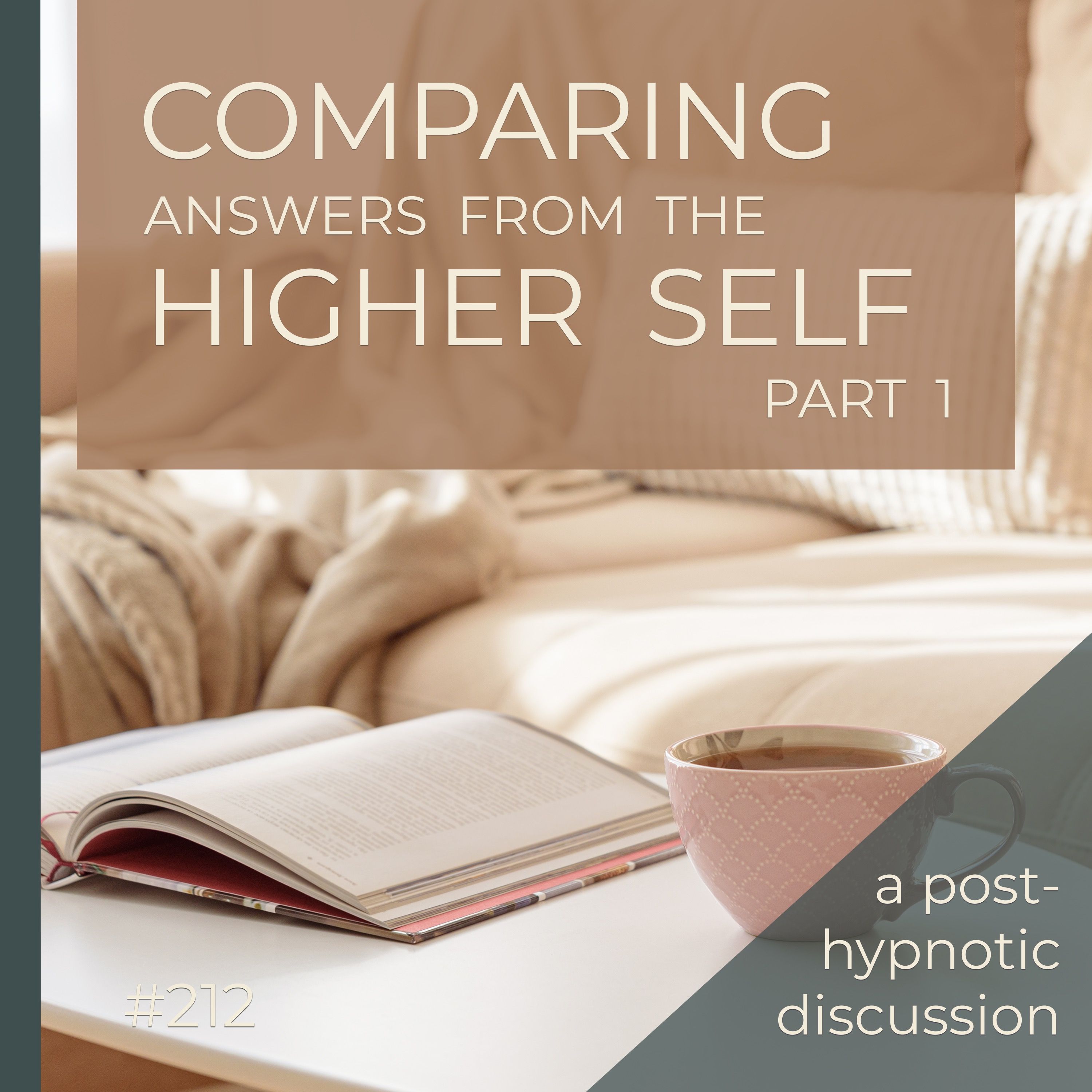 Clients' Hypnosis Experience - PART 1  |  Comparing Higher Self Experiences  |  Seer Sessions #212