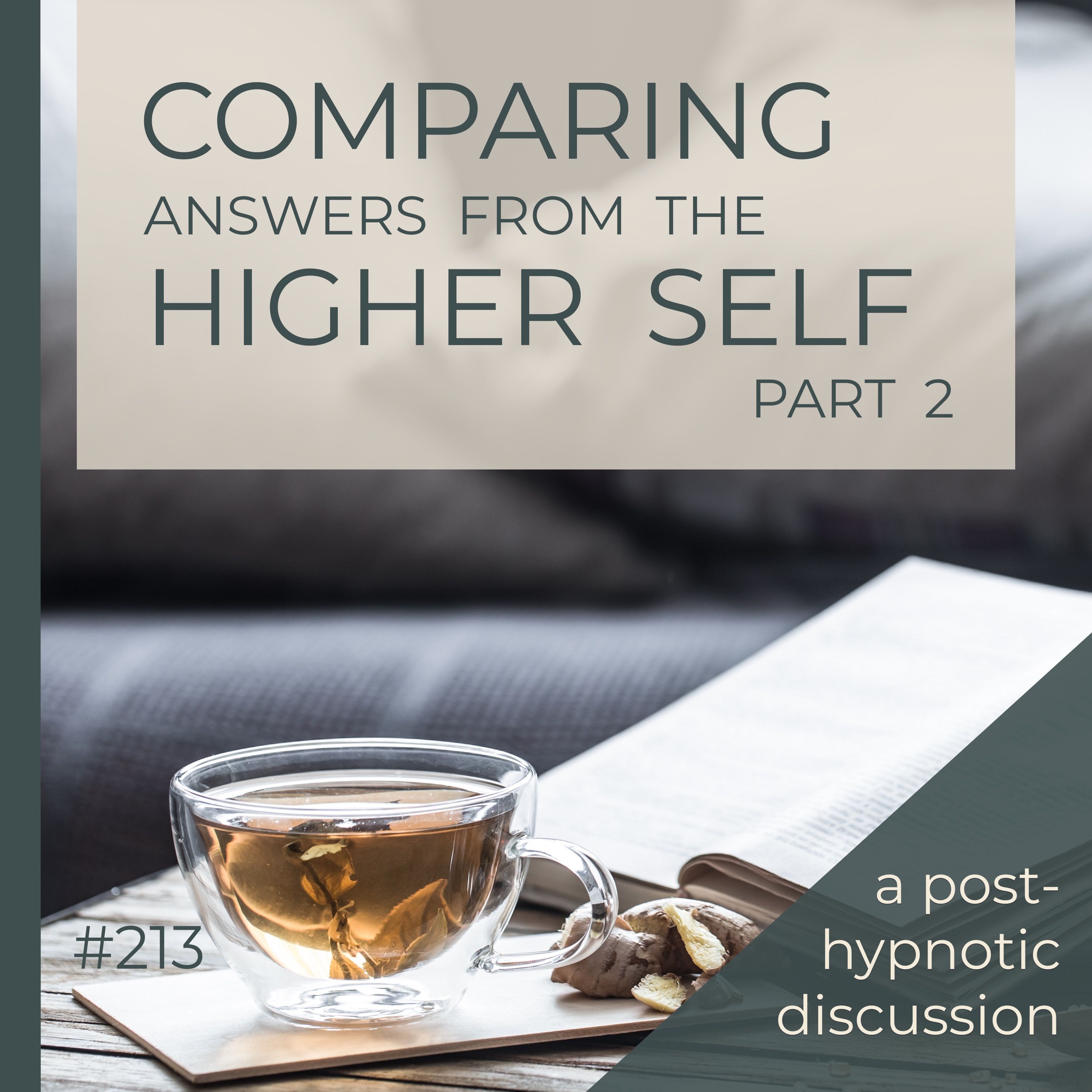 Clients' Hypnosis Experience - PART 2  |  Comparing Higher Self Experiences  |  Seer Sessions #213