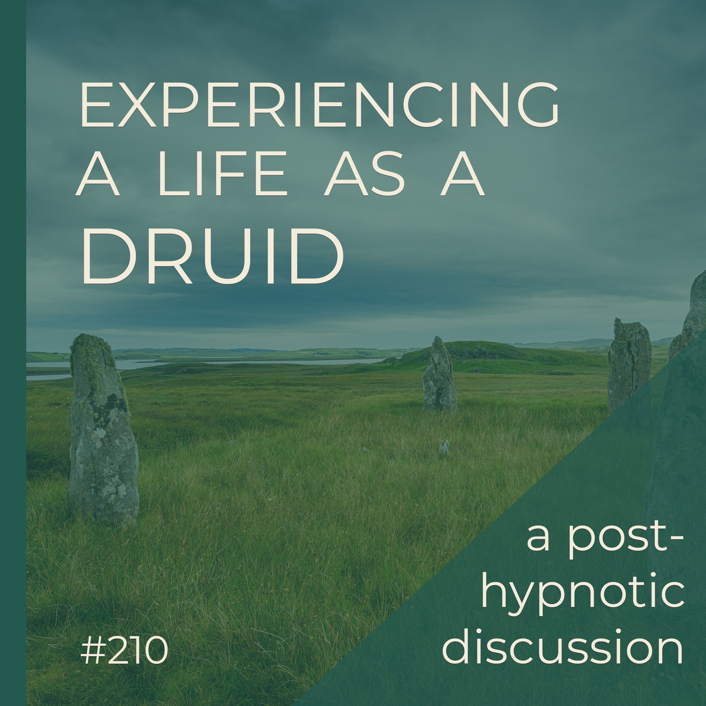 Life As A Druid  |  Post-Hypnotic Group Discussion  |  Seer Sessions #210
