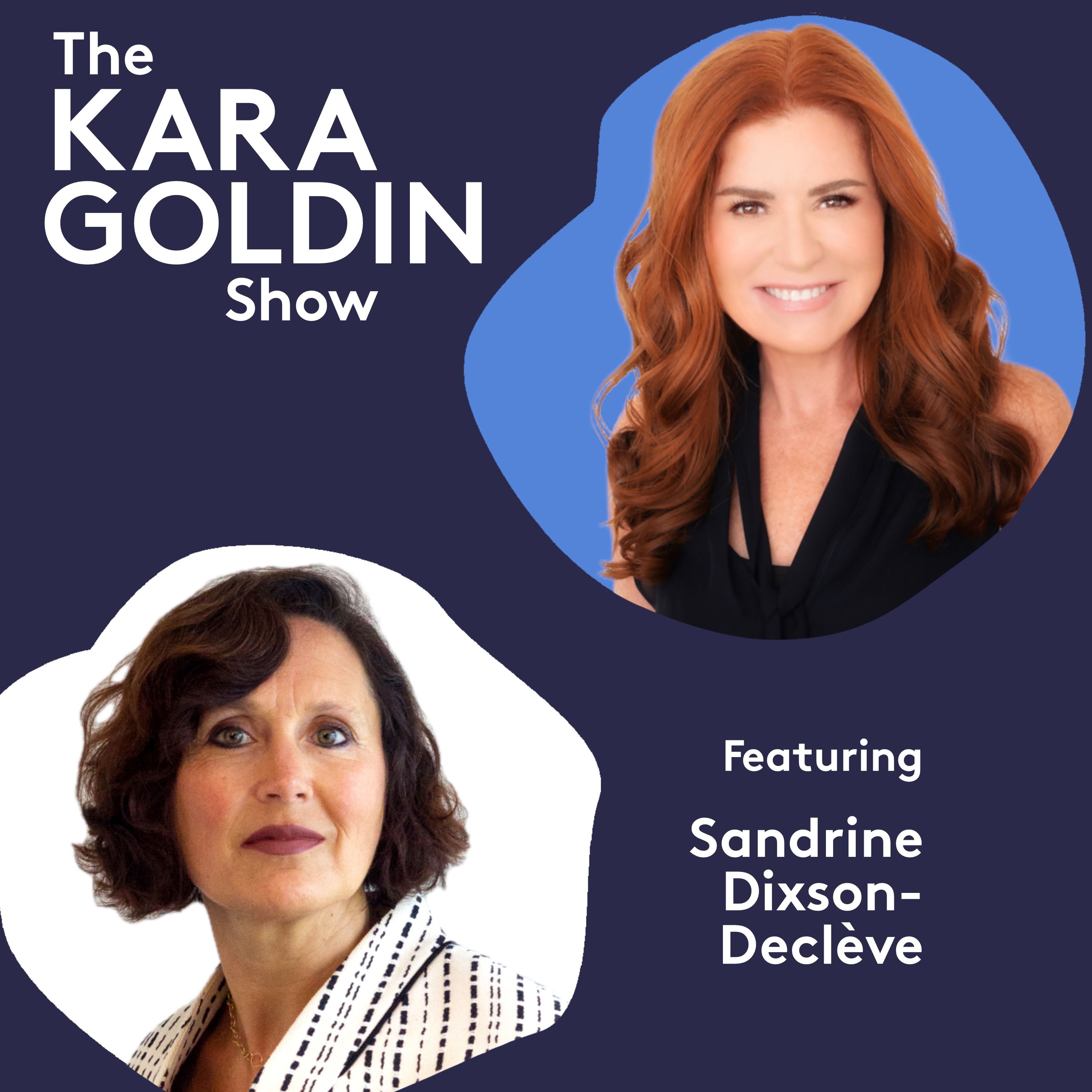 The Kara Goldin Show