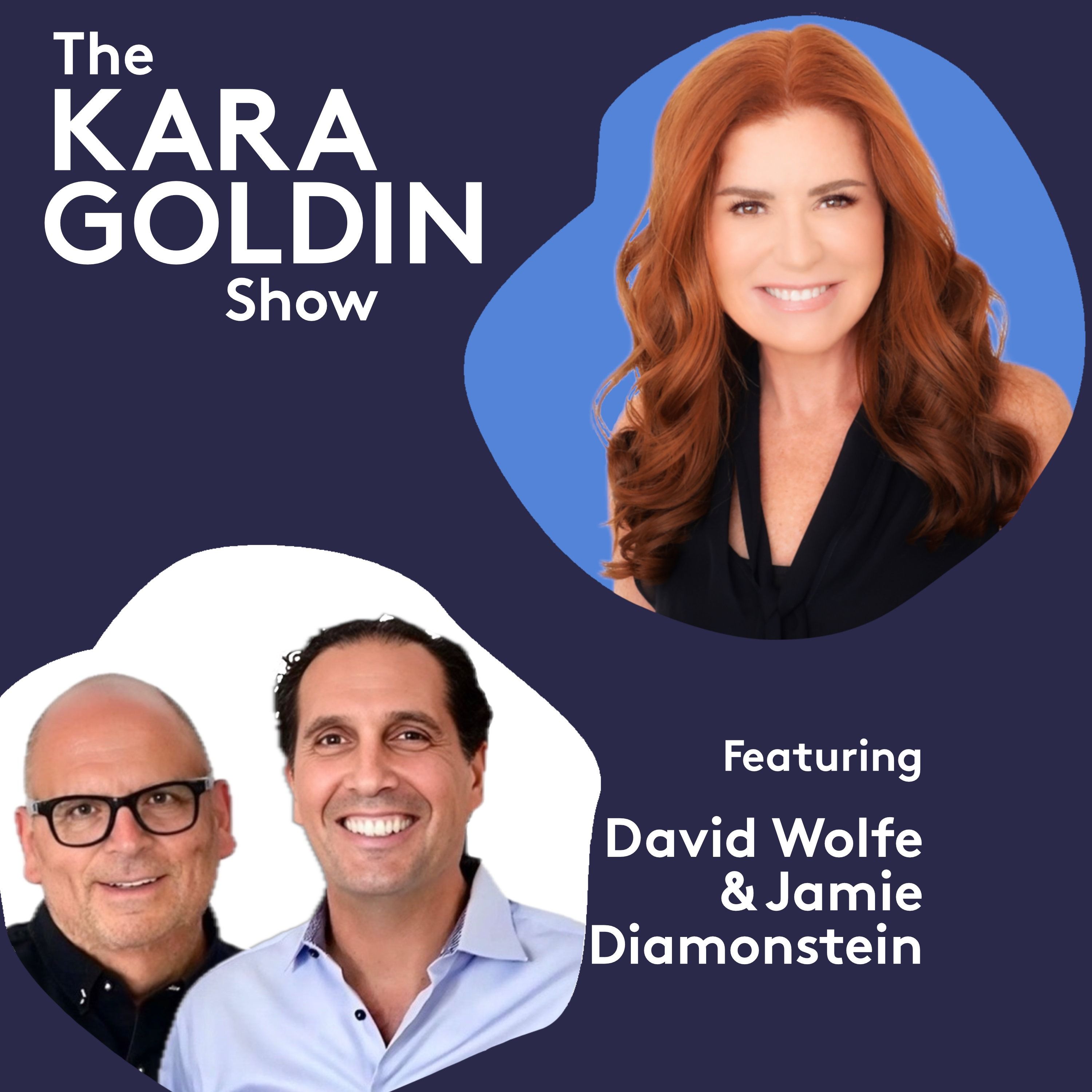The Kara Goldin Show