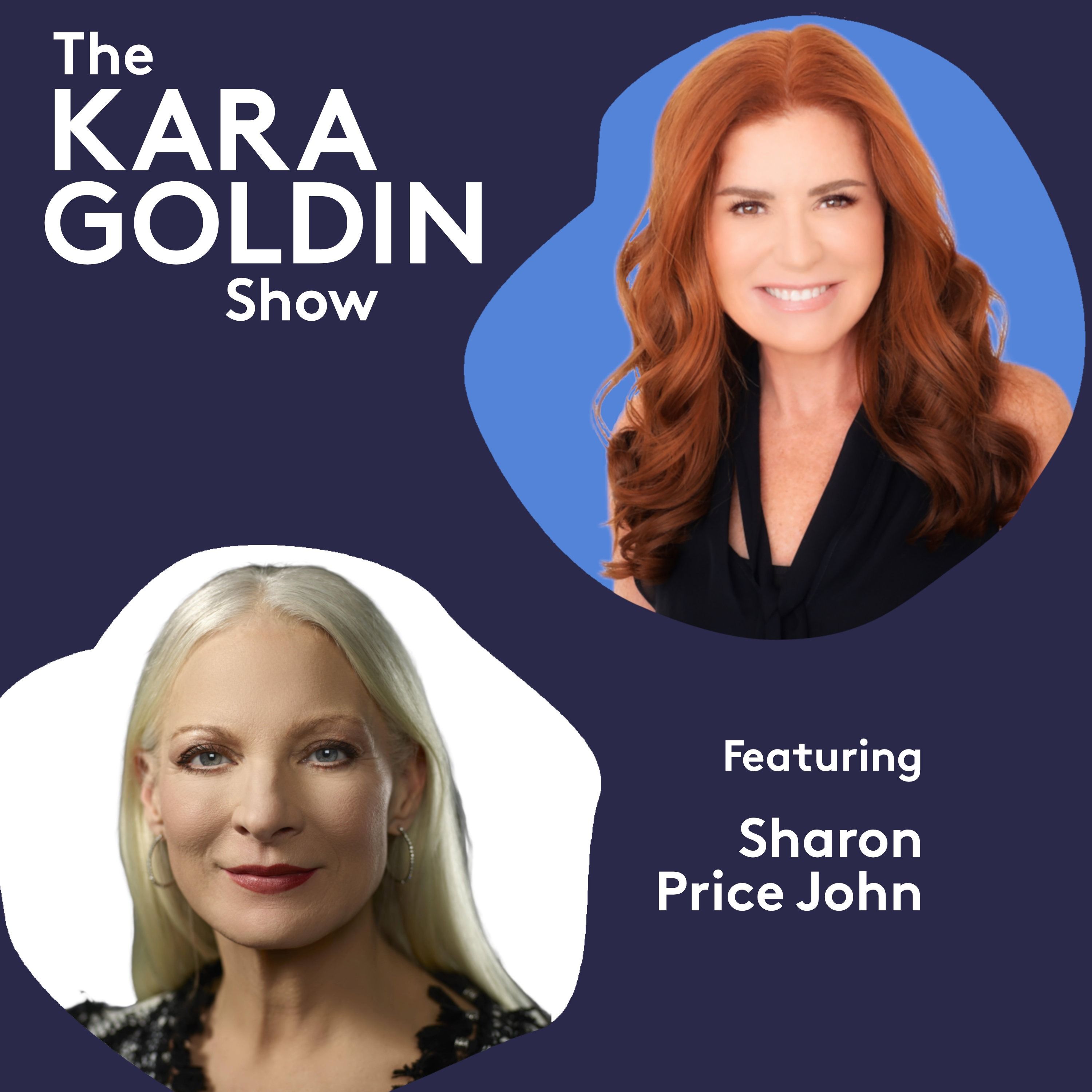 The Kara Goldin Show