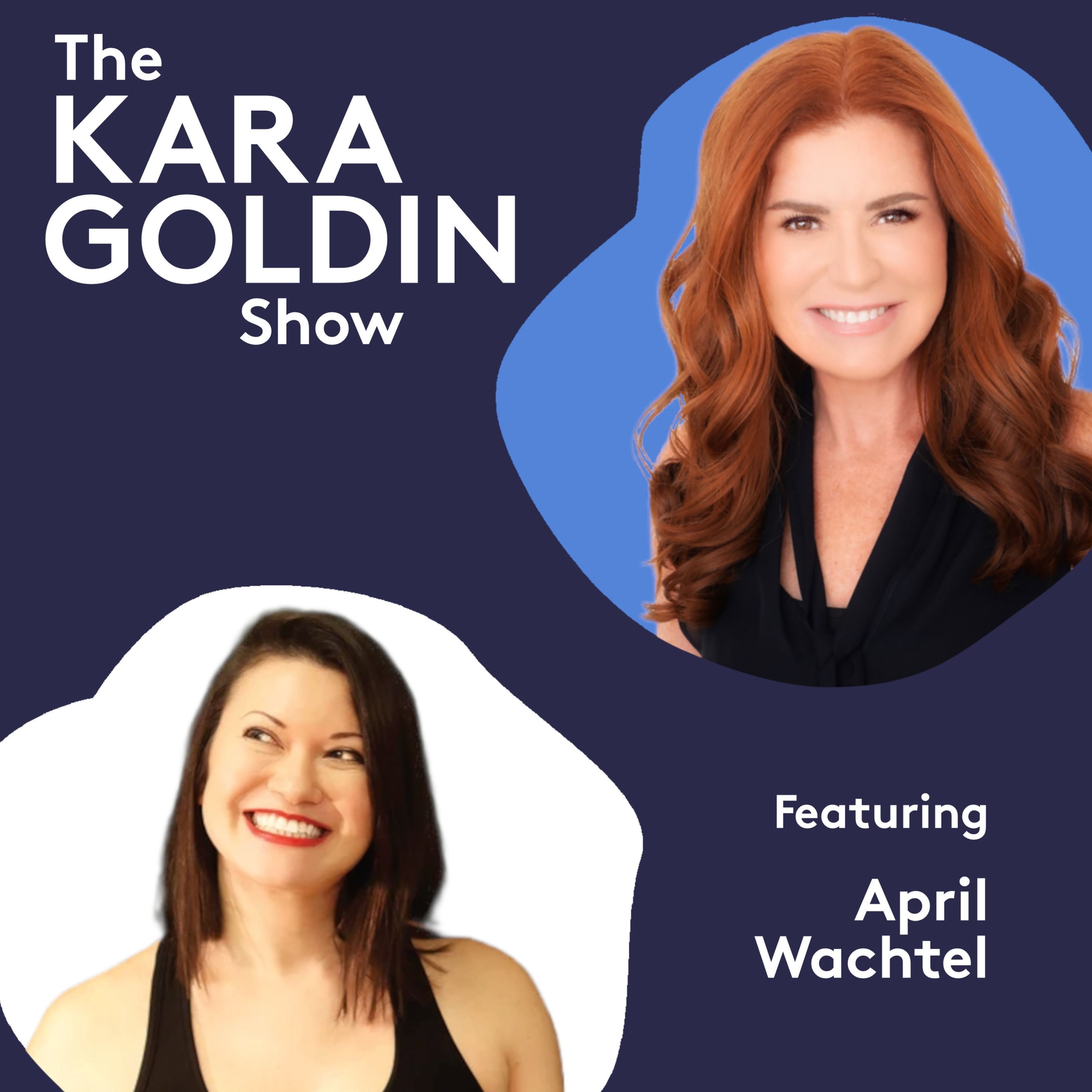 The Kara Goldin Show