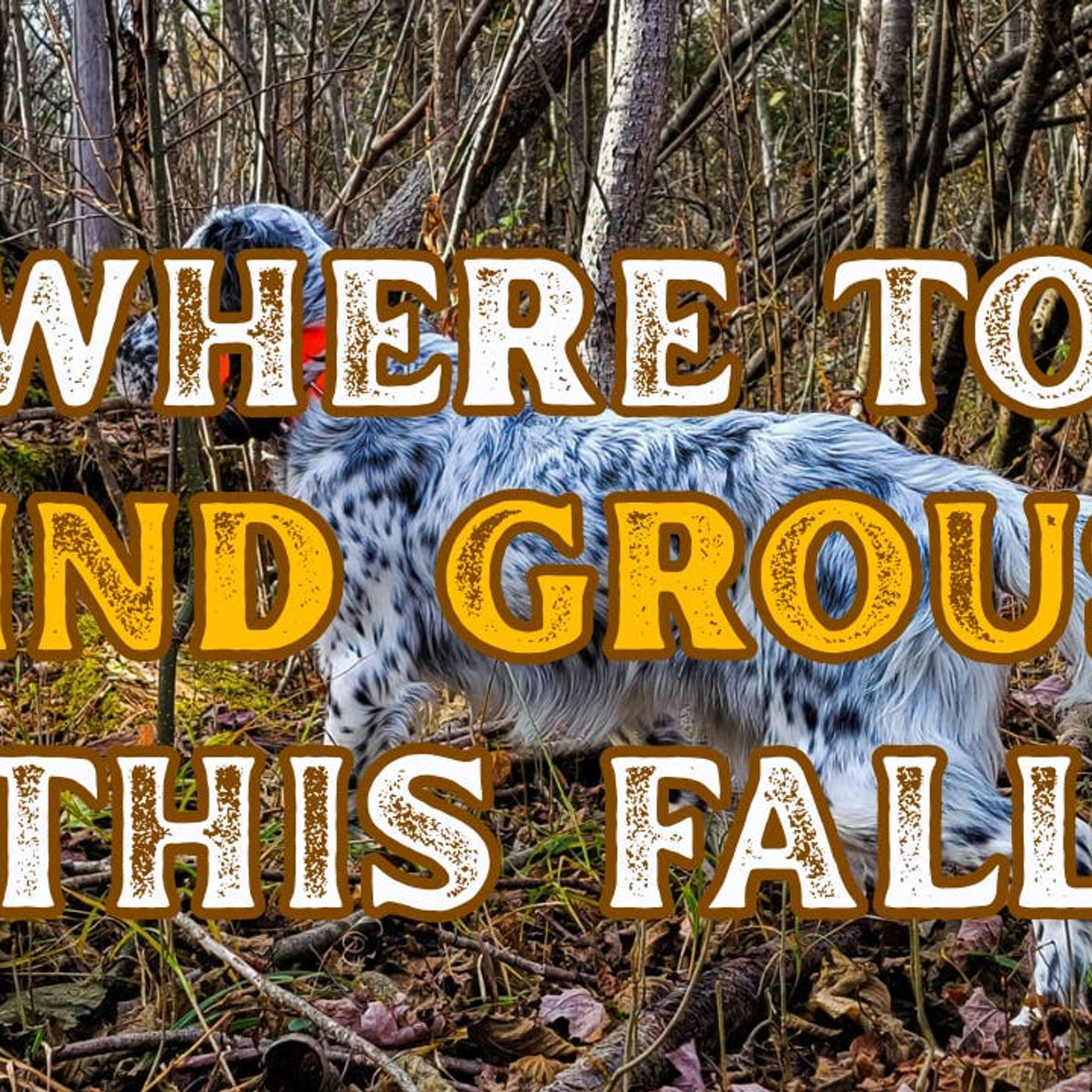 #336 | Habitat Clues Every Upland Hunter Should Know with Ann Jandernoa episode artwork